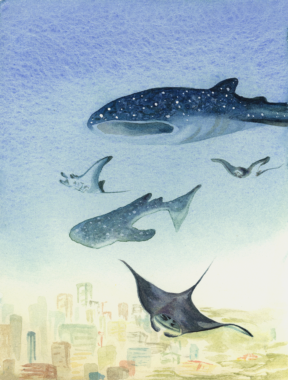 Whales in the Sky.png