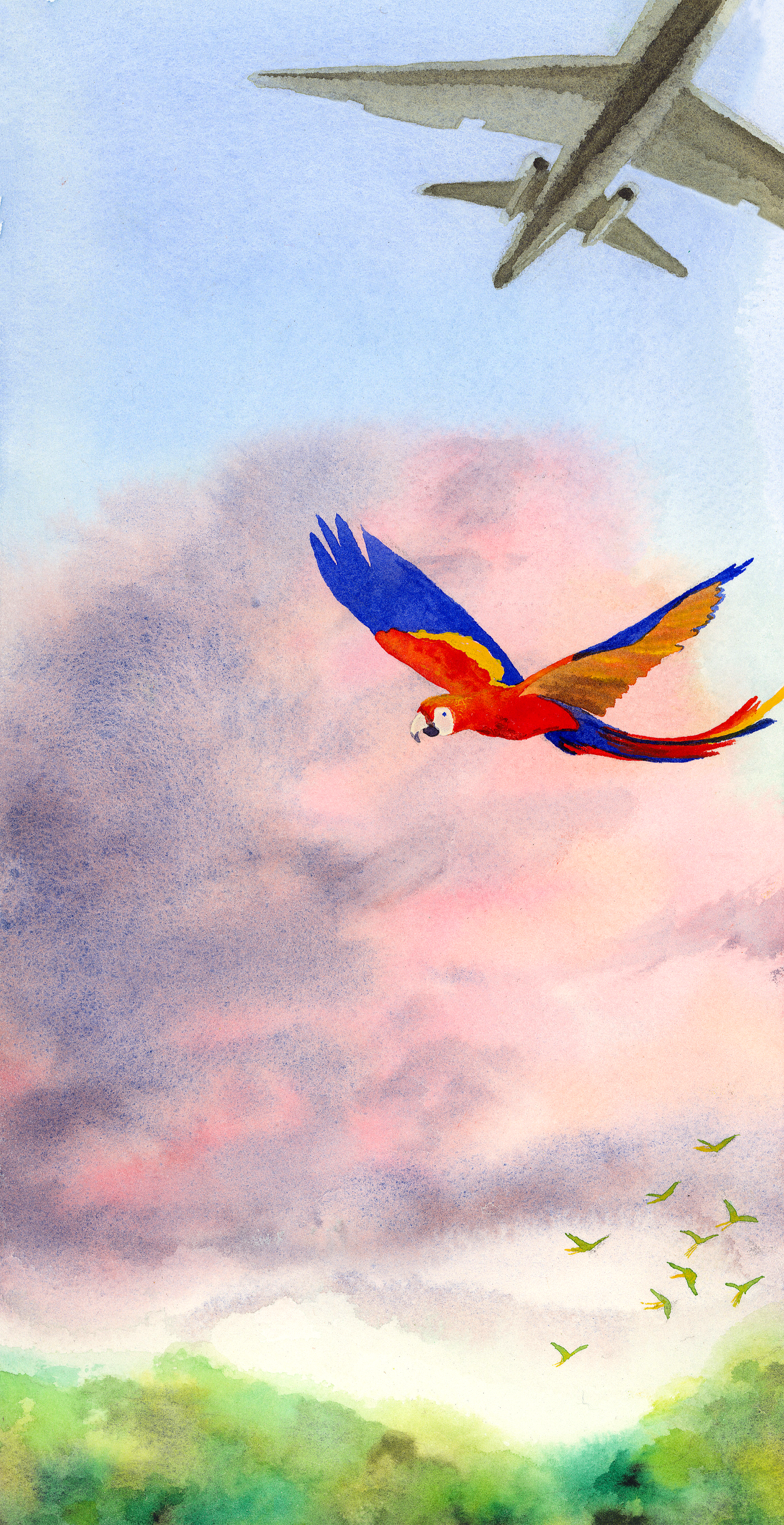 Parrot and Plane.png