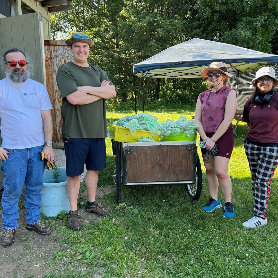 Four people standing outdoors around a wooden cart with green and yellow containers filled with plastic bags of freshly harvested produce, under a canopy in a grassy area with trees in the background.