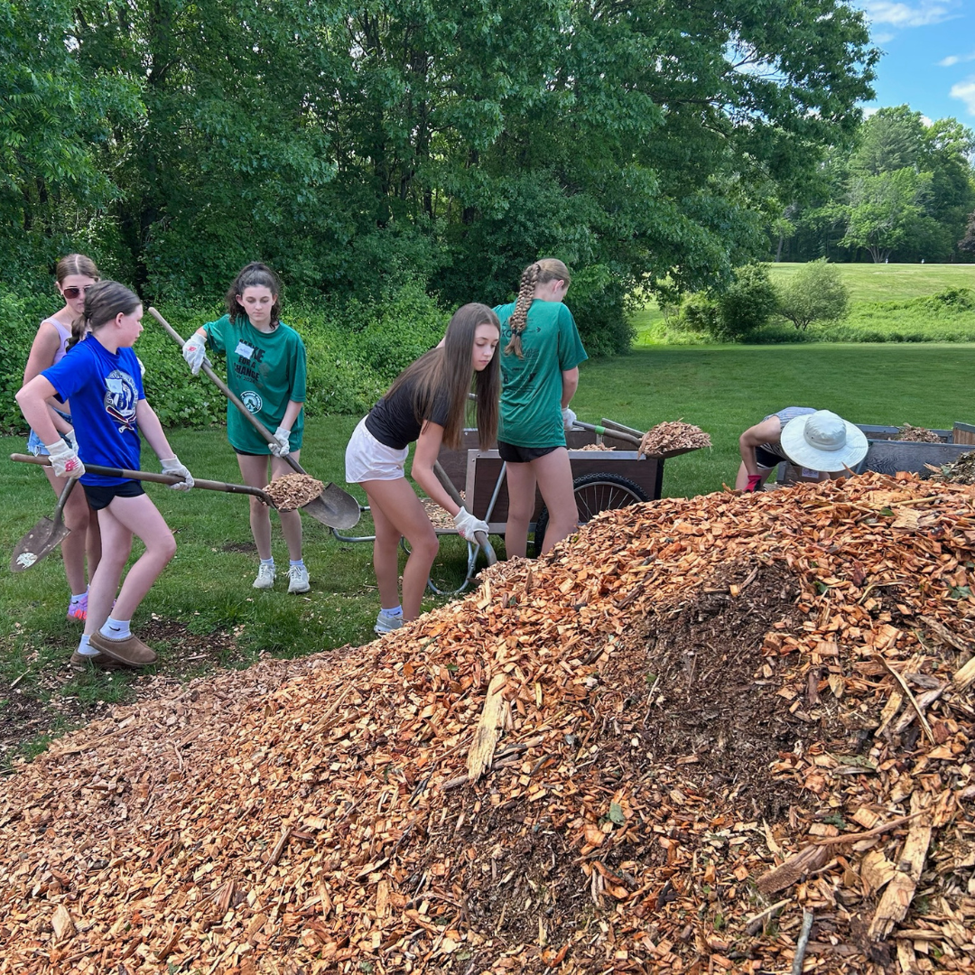A group of young girls shoveling wood chips into a pile outdoors on a grassy field with trees in the background.
