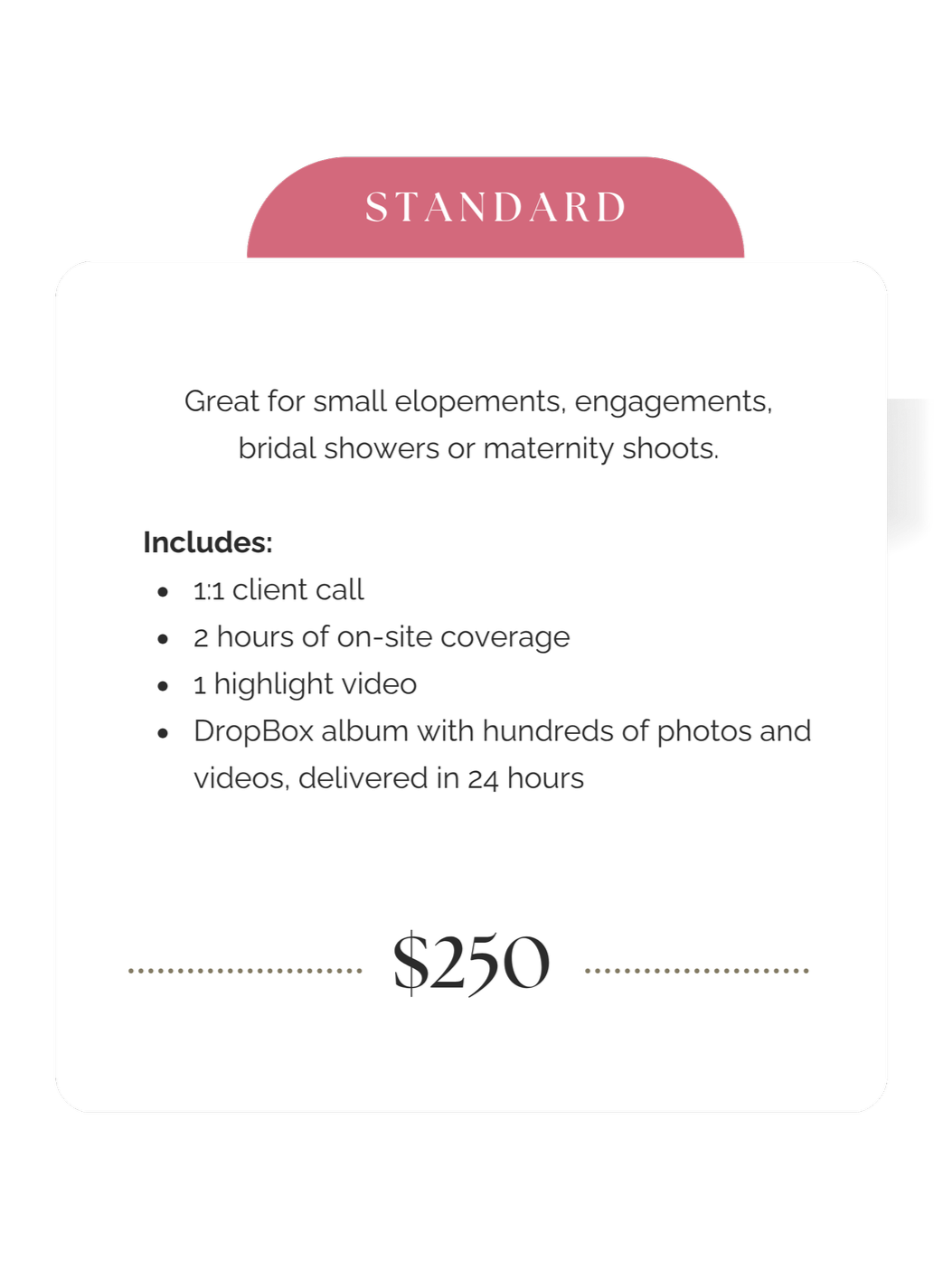 Pricing sheet titled 'Standard' in pink tab. Describes wedding photography package for small events, engagements, bridal showers, or maternity shoots. Included: client call, on-site coverage, highlight video, DropBox album. Cost: $250.
