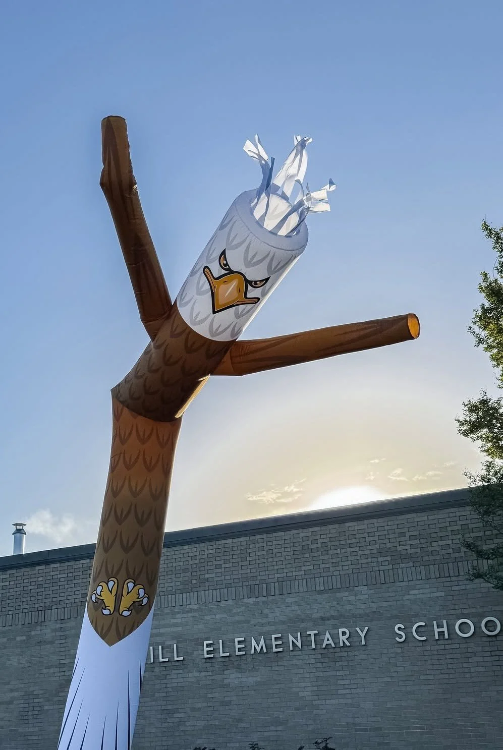 OHEWindEagle.jpg