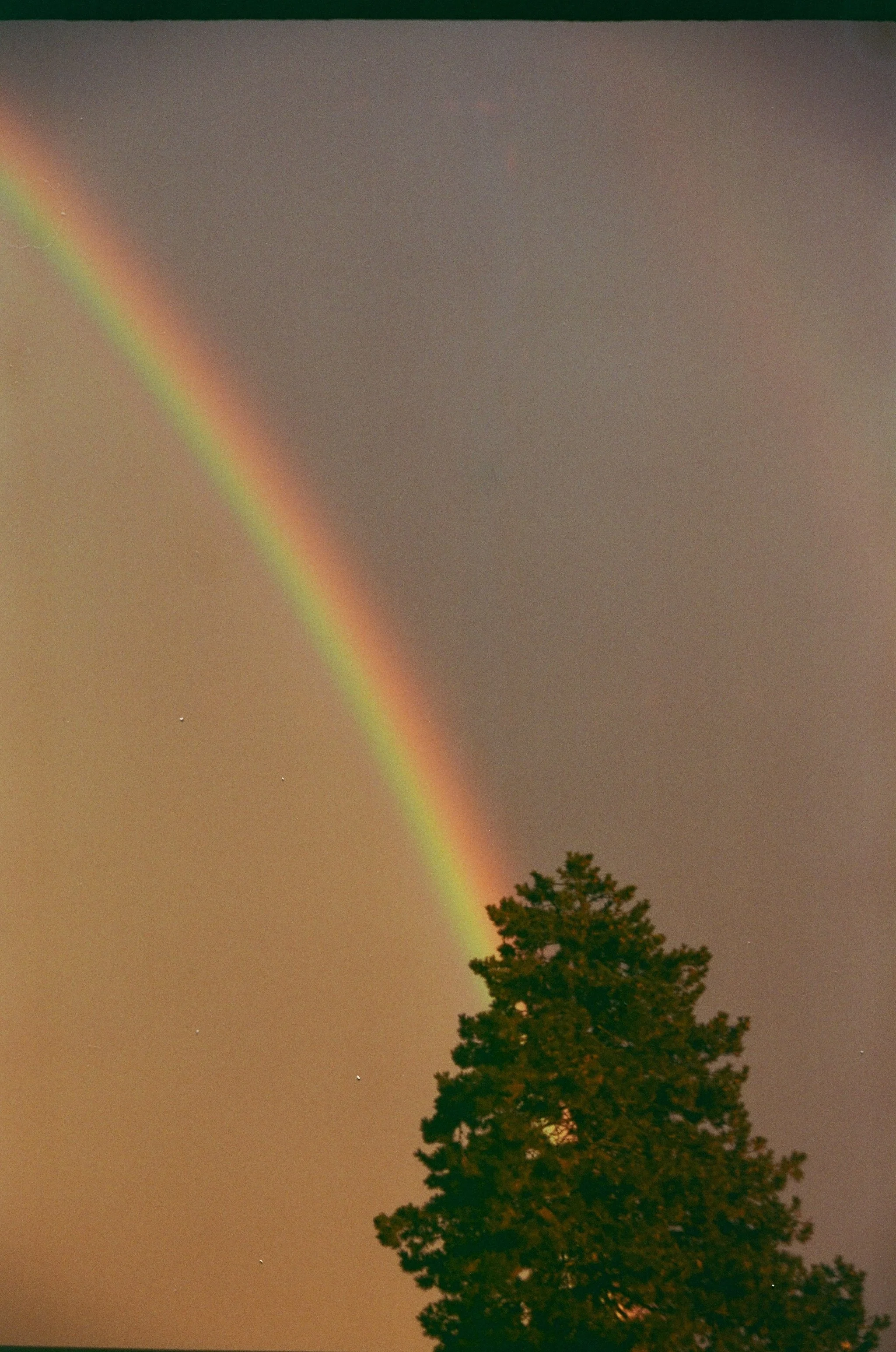 Rainbow print