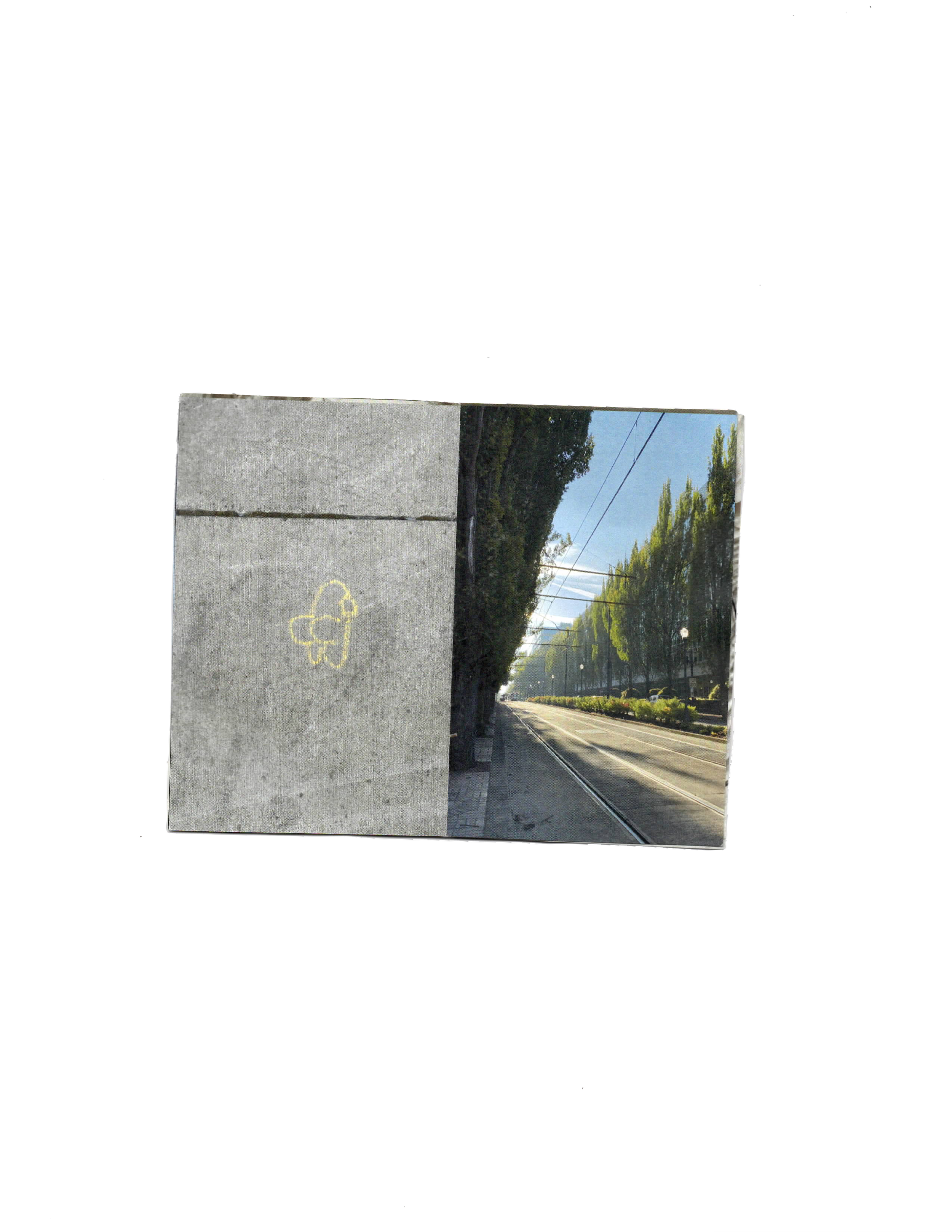 Scan 1.png