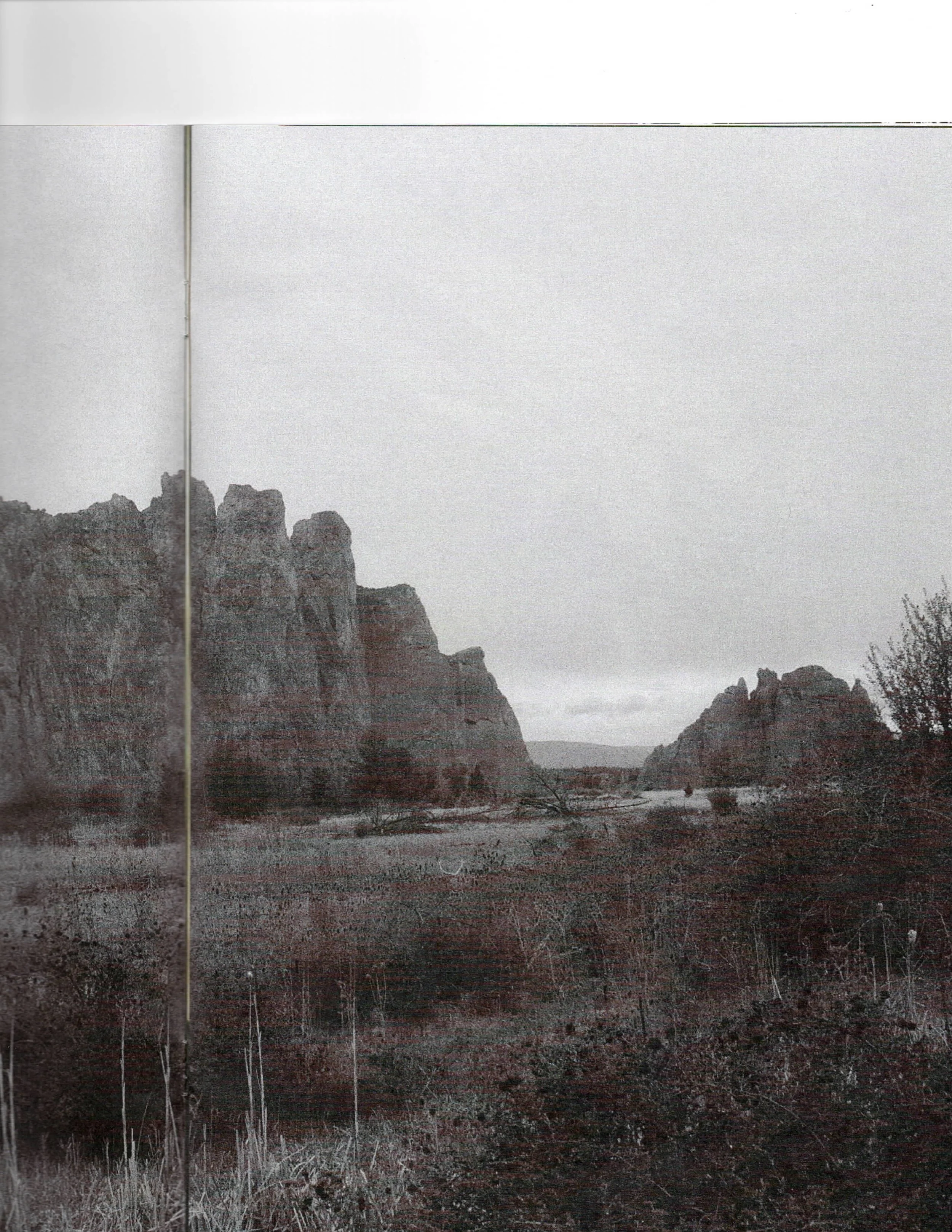 Scan 6.jpeg