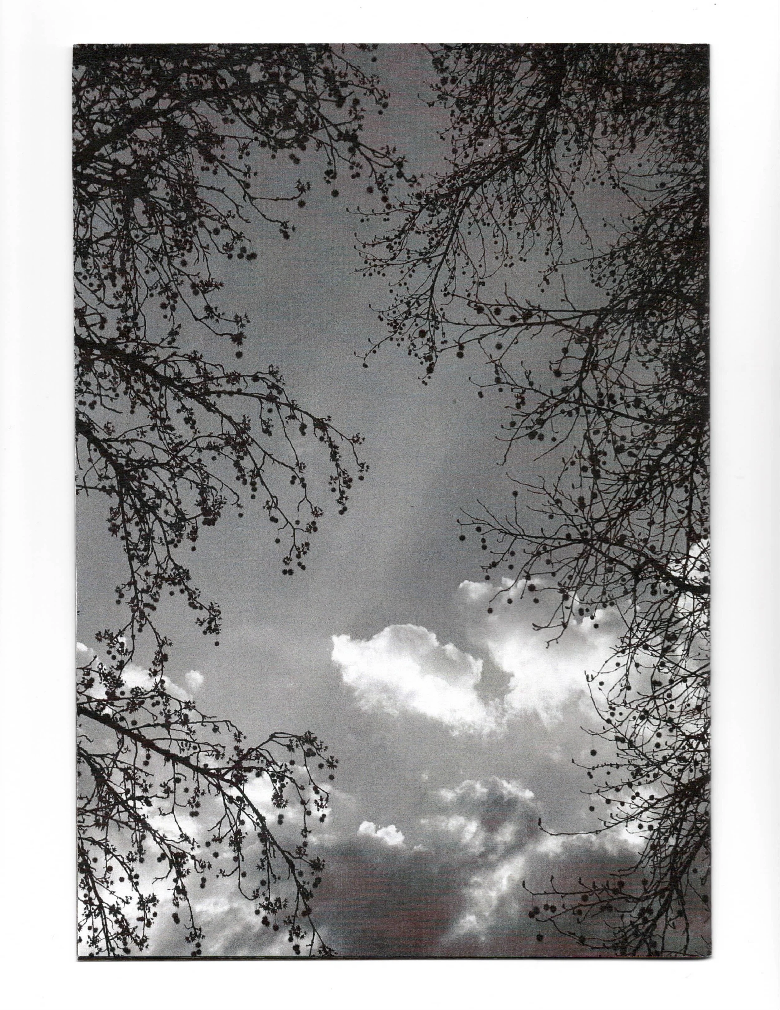Scan 1.jpeg