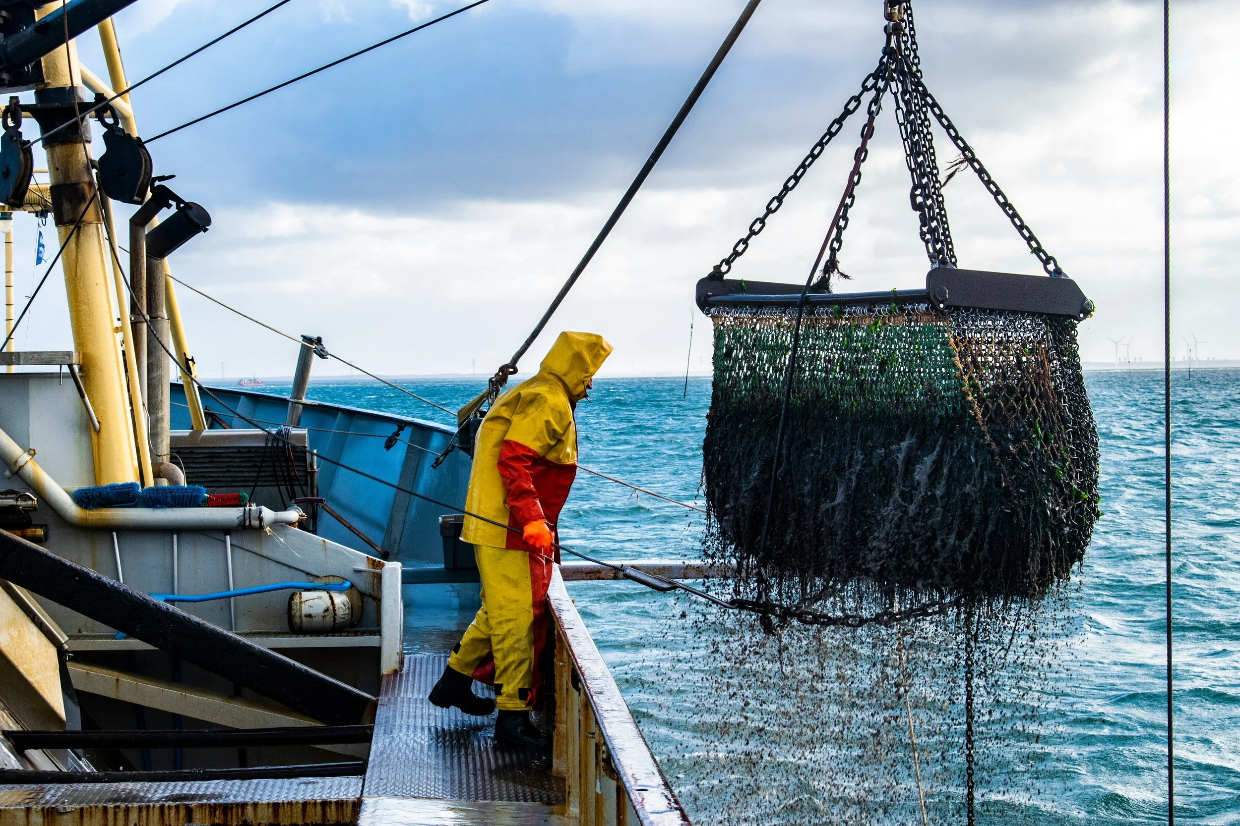 Two workers on a ship, dressed in yellow and orange waterproof gear, are handling a large fish(possibly a halibut) that is hanging from the ship's crane, surrounded by water with wind turbines visible in the distance under a cloudy sky.