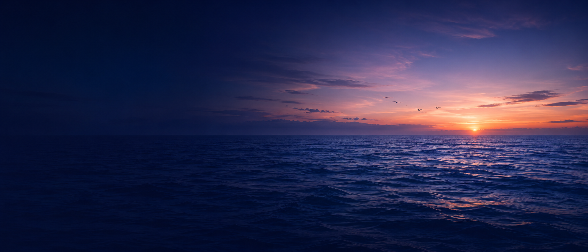 Sunset over the ocean with a colorful sky and a few flying birds.
