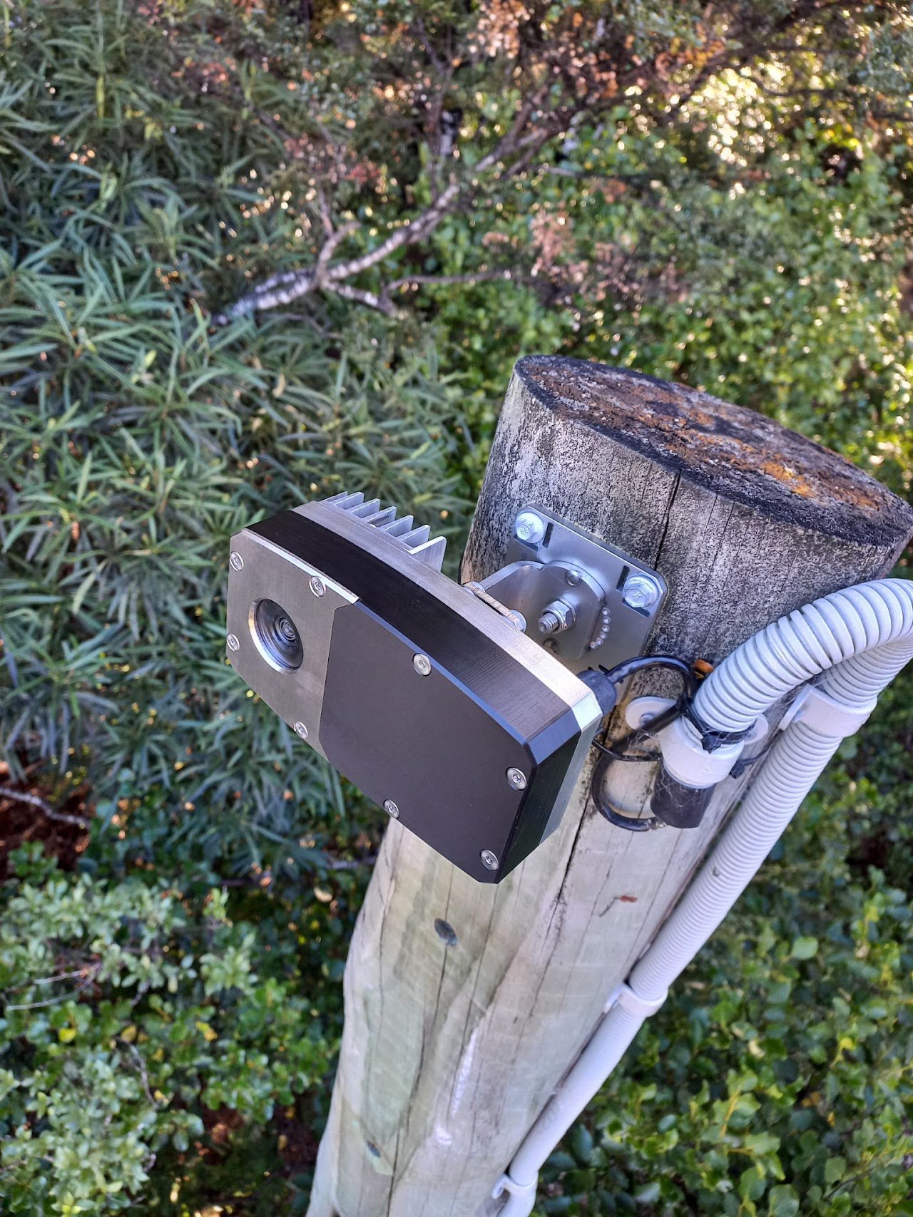 Camera mounted on a wooden utility pole with wires, surrounded by green foliage and trees.