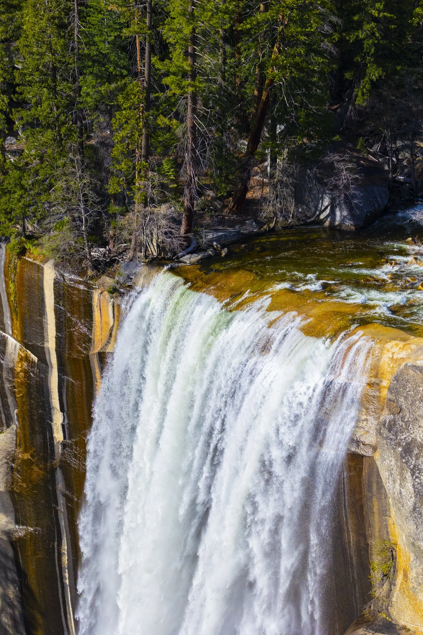 Waterfall flowing over rocks surrounded by evergreen trees in a forested area.