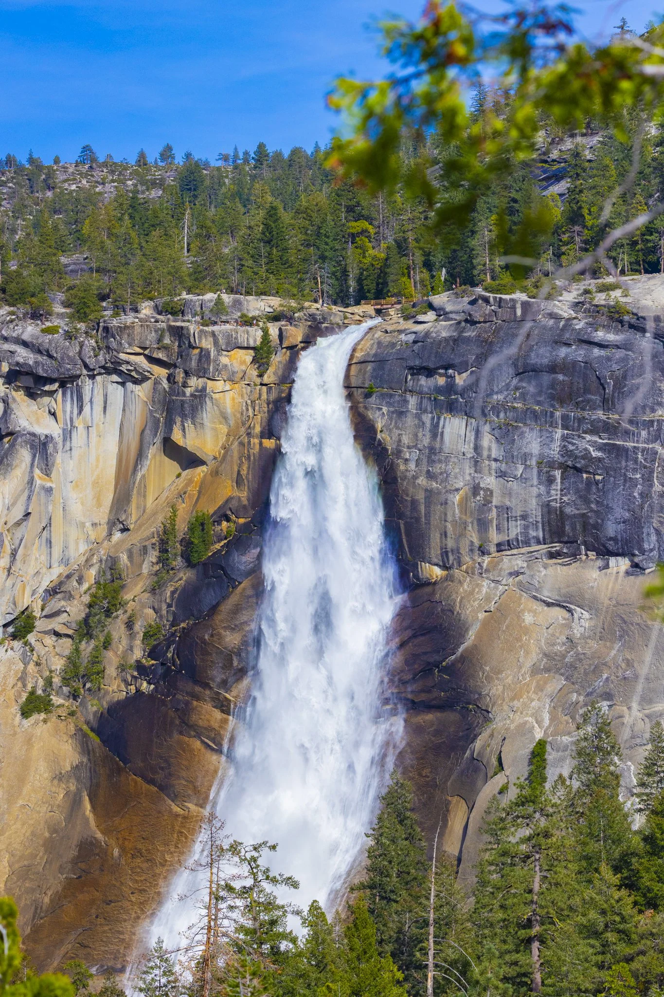 Waterfall flowing down a rocky cliff surrounded by pine trees and a forest under a blue sky.