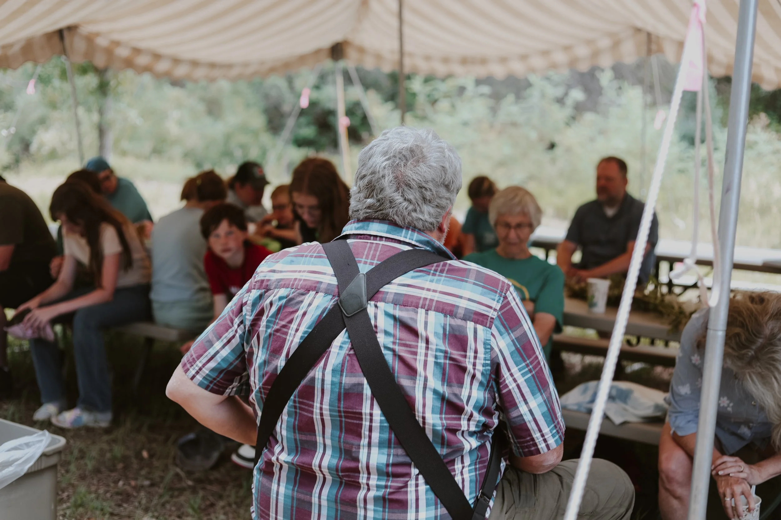 A man with gray curly hair wearing a plaid shirt and backpack, seen from behind, standing near a group of people under a large outdoor tent with a beige canopy, surrounded by trees.