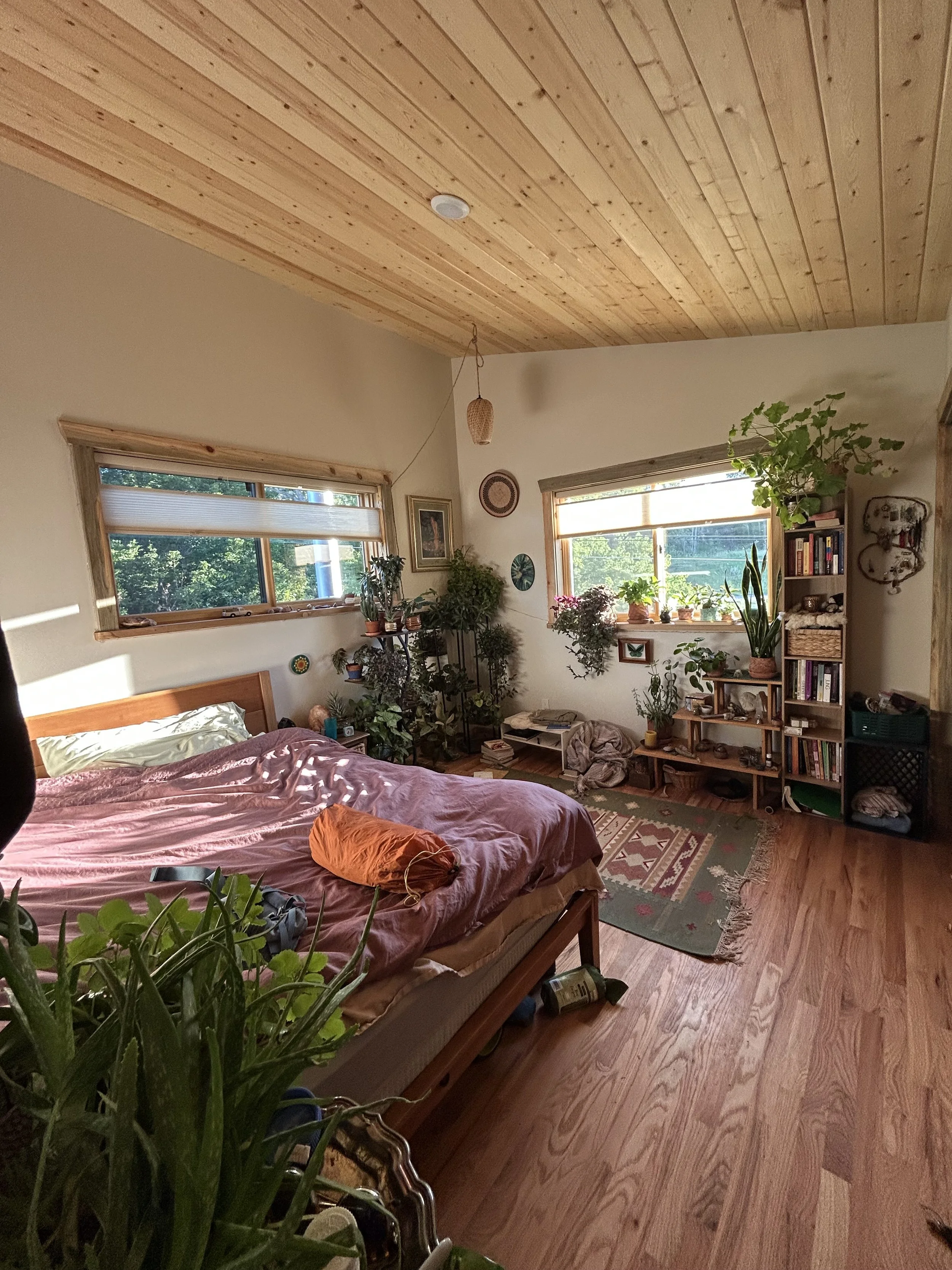 A cozy bedroom with a wooden ceiling, two windows letting in sunlight, a bed with a pink blanket, numerous plants, and a wooden bookshelf filled with books and decor.