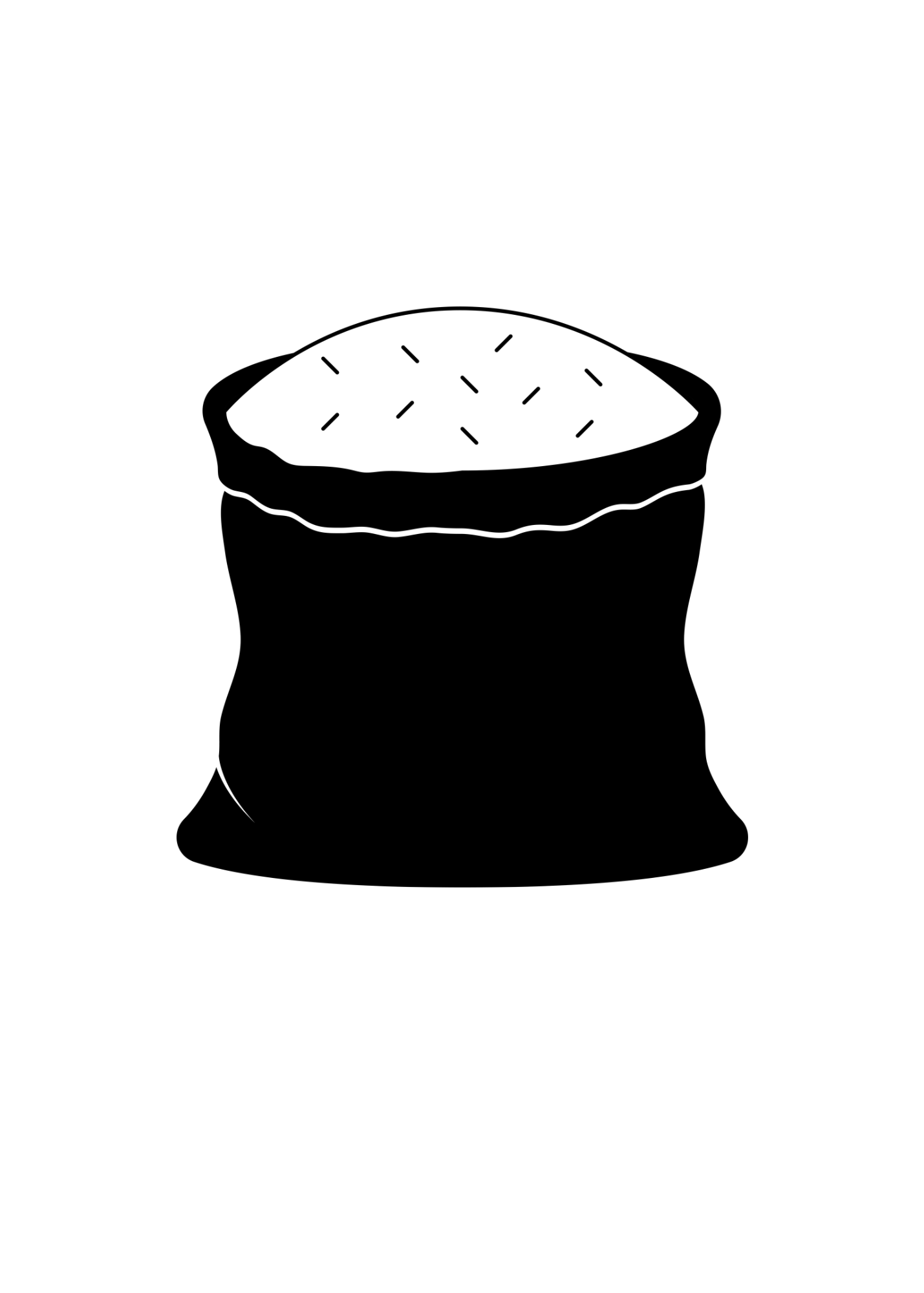 Bag of Rice