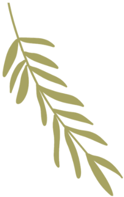 Illustration of a green leafy twig