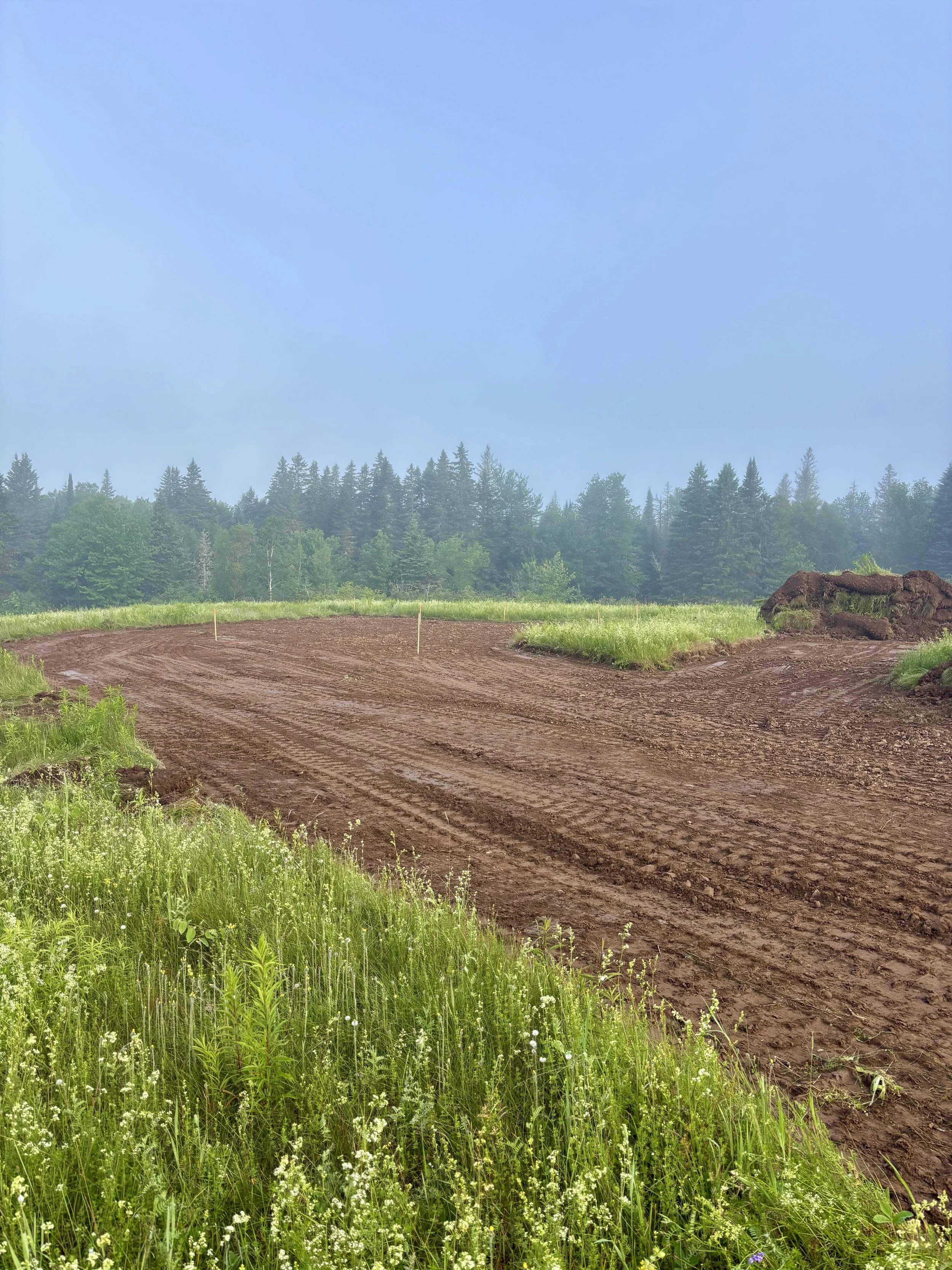 A dirt track road with freshly plowed soil, bordered by green grass and wildflowers, leading toward a wooded forest with tall trees under a blue sky.