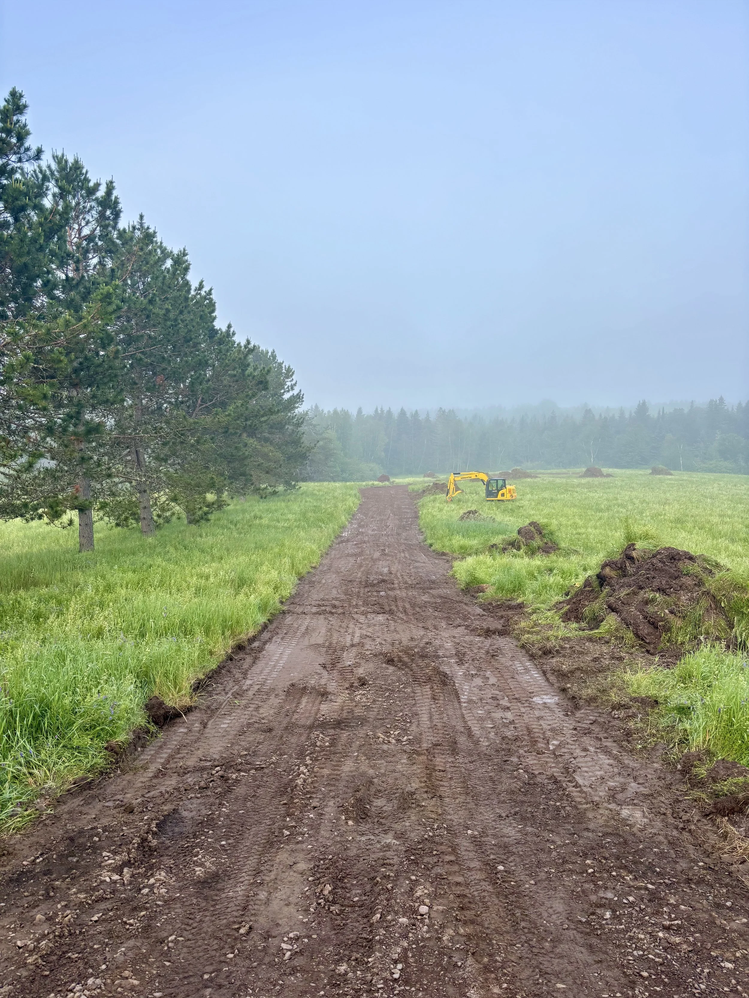 A dirt path through a grassy field with trees on the left and a yellow excavator working on the right, with a foggy sky and distant forest in the background.