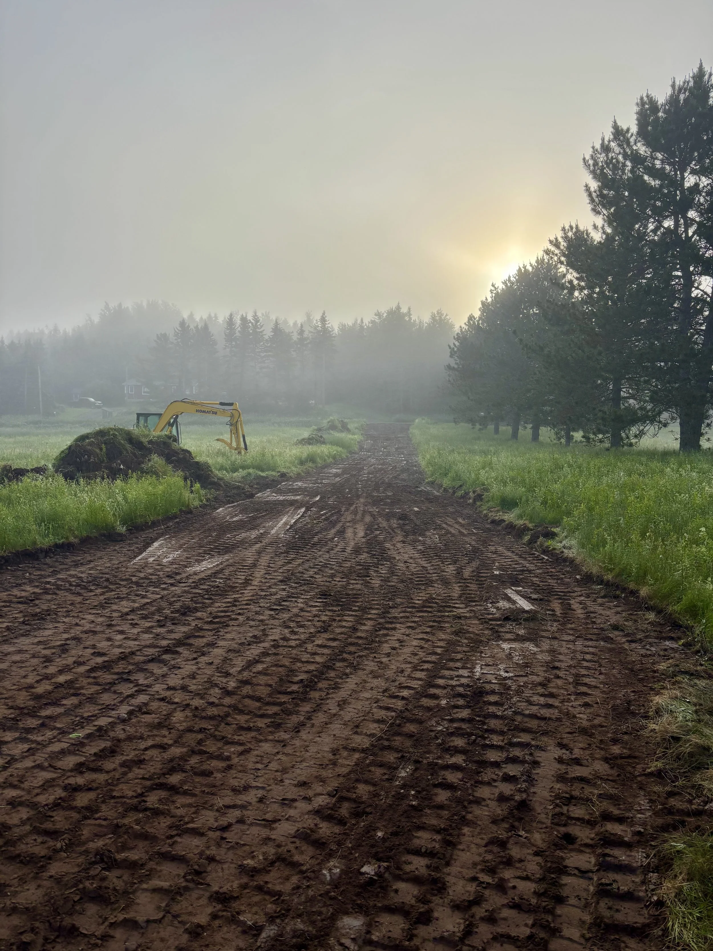 A dirt road with deep tire tracks leading through a grassy field, with a yellow excavator on the left and a row of trees on the right, during a foggy sunrise or sunset.