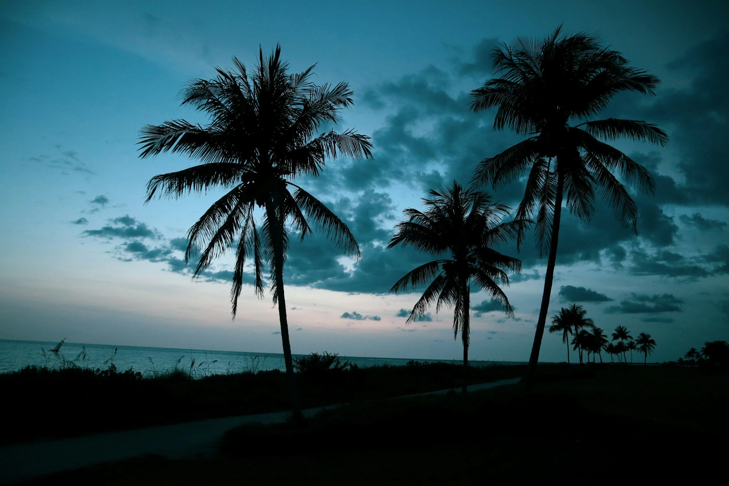 Silhouettes of palm trees along a coastline during twilight with a cloudy sky and calm water.