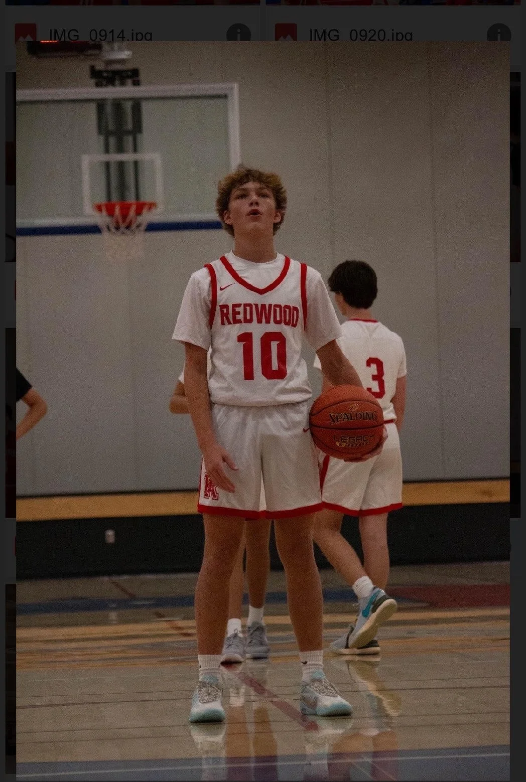 Adam Scheer-Basketball