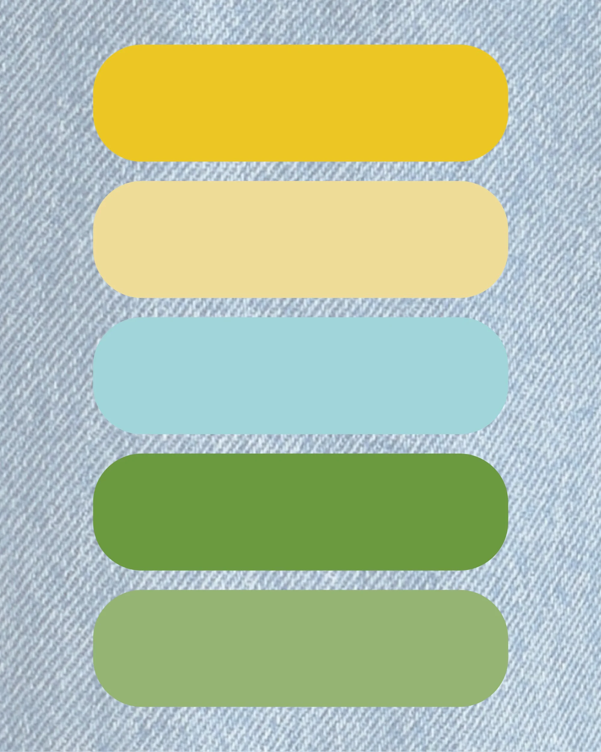 Renew-Color-Palette.jpg