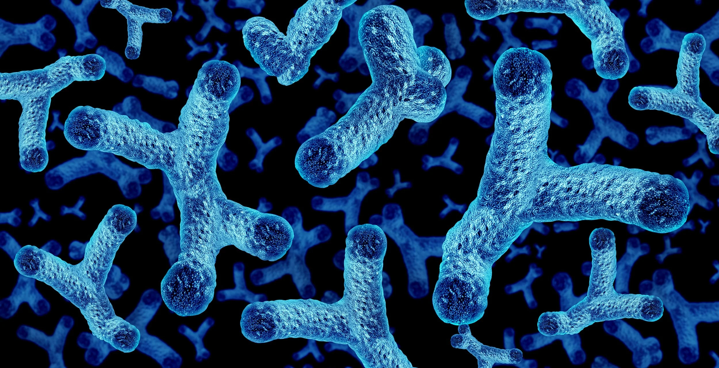 Illustration of beneficial gut bacteria and microbiome organisms, showing blue, branching bacterial cells against a dark background.