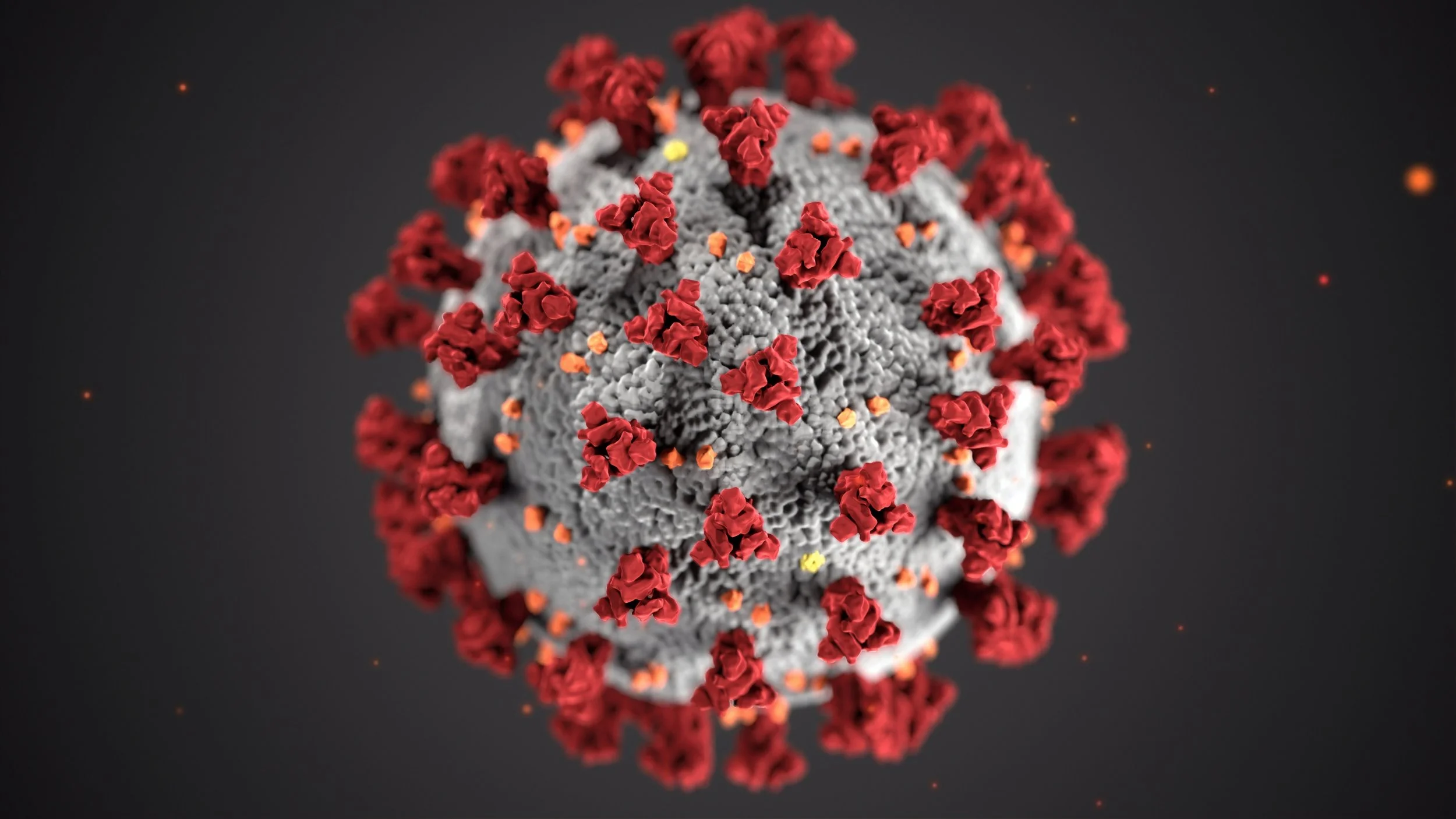 Coronavirus (COVID-19) FAQ