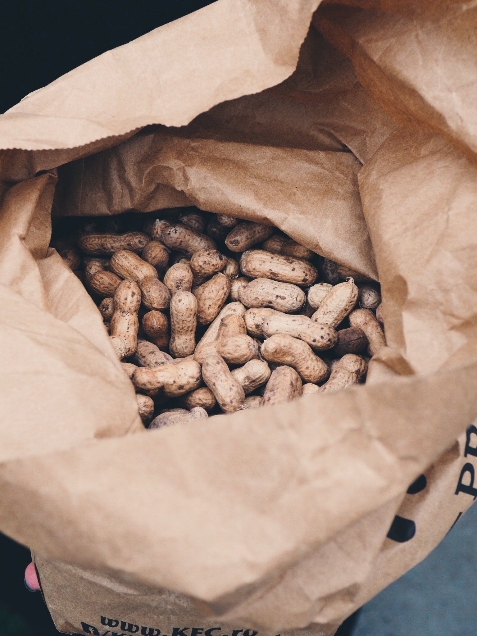 Peanut Allergies and Probiotics