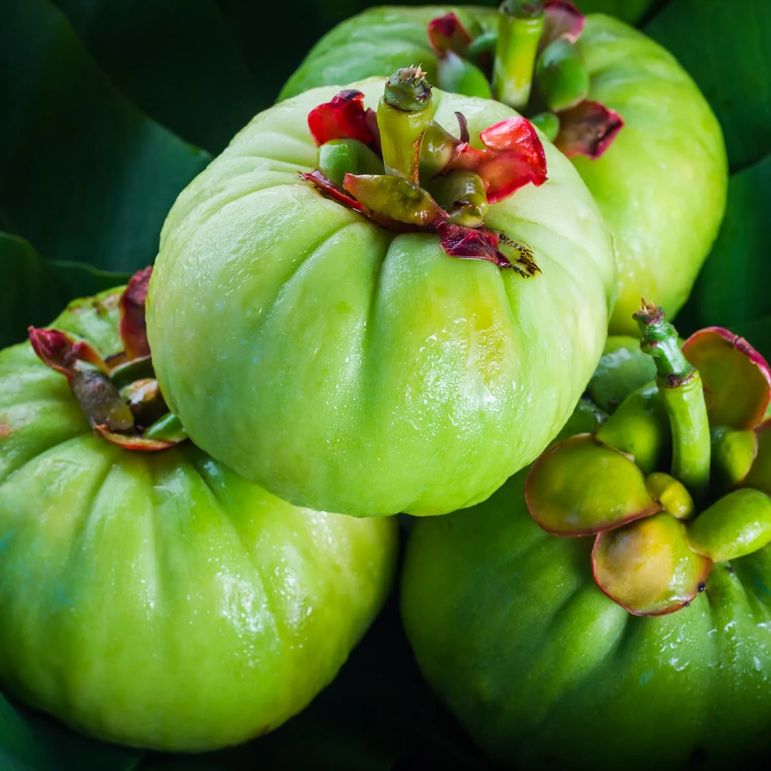 Close-up of green jackfruit with some red-tinted unopened flower buds on top