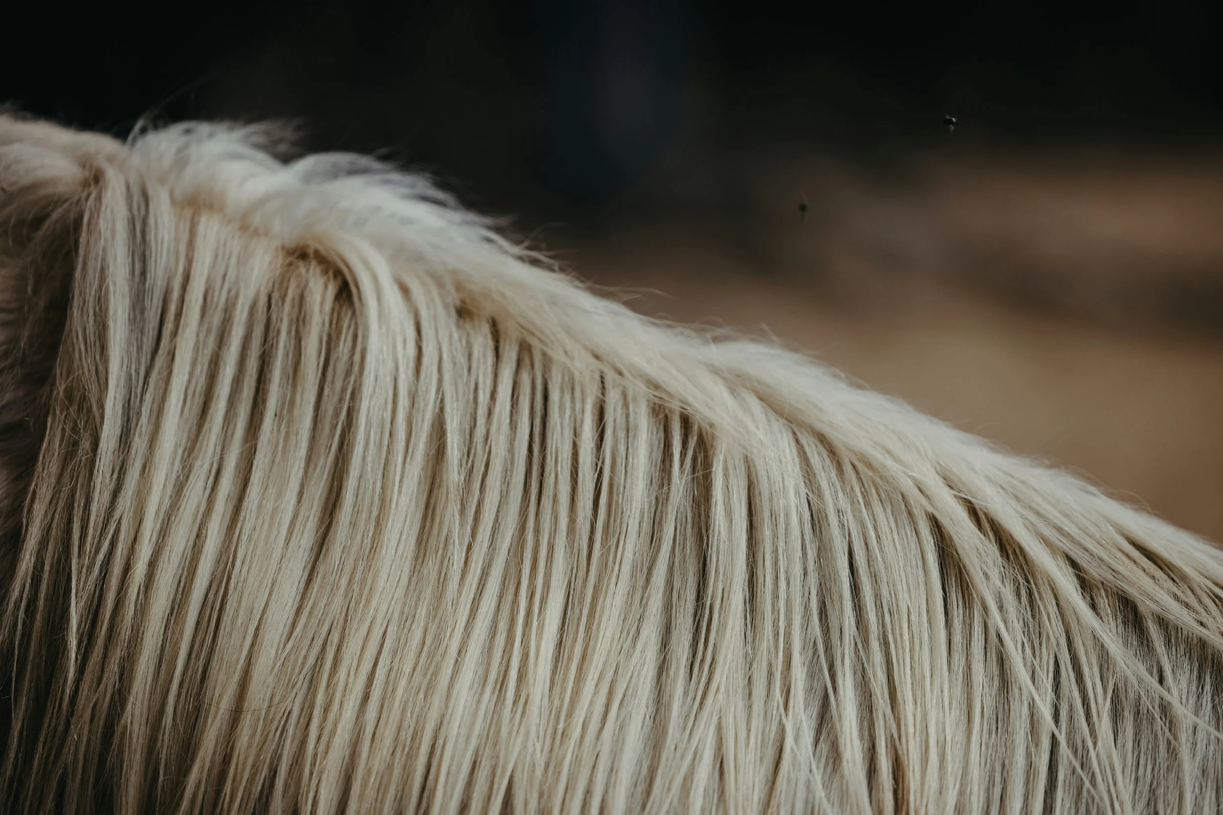 josh-withers-Io5BICMzhT4-unsplash.jpg