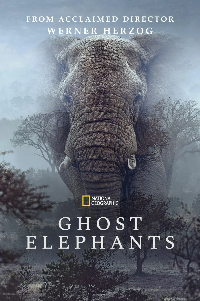 GhostElephants_poster-780.jpg