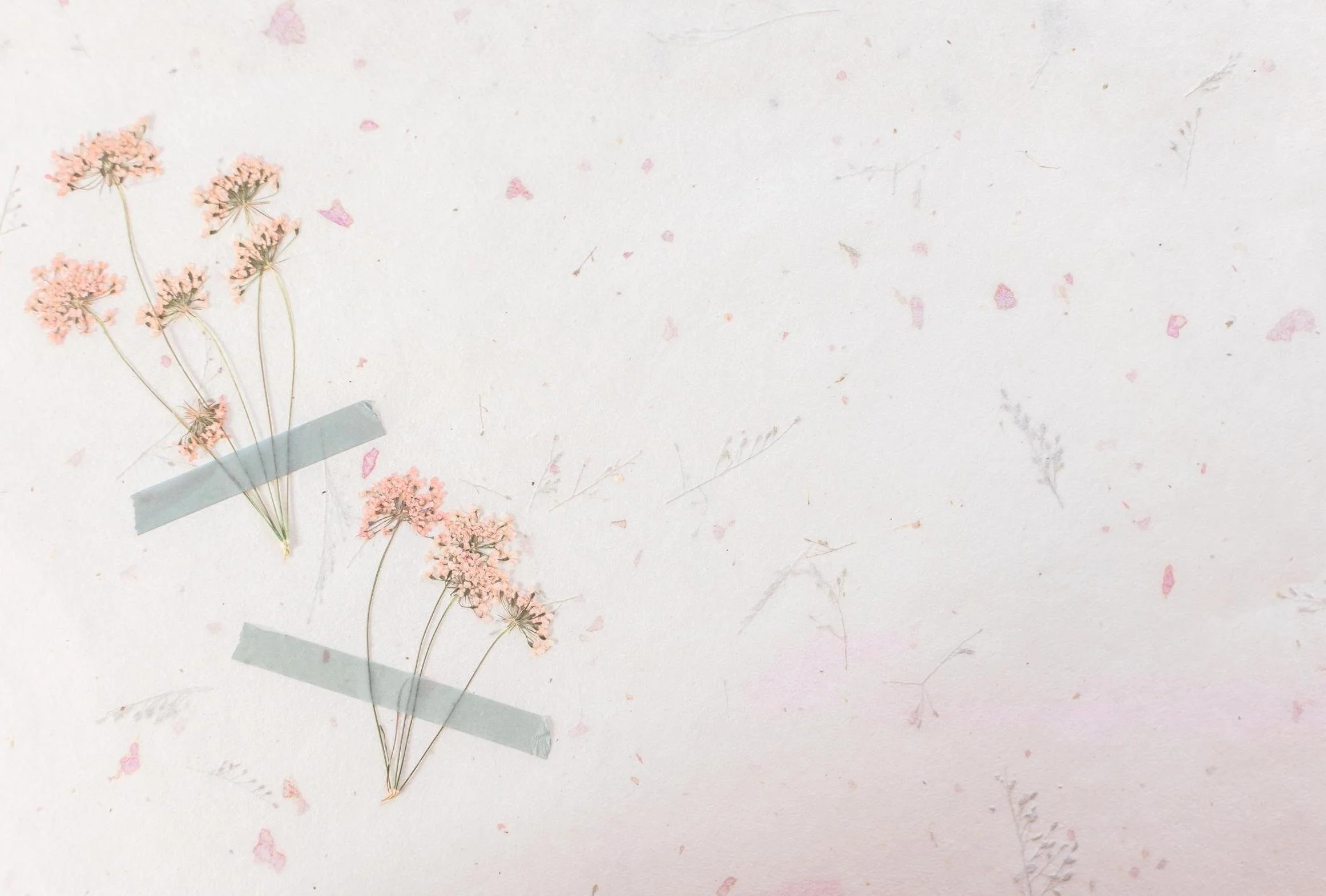 Assorted small dried pink flowers taped onto white paper with three pieces of masking tape.