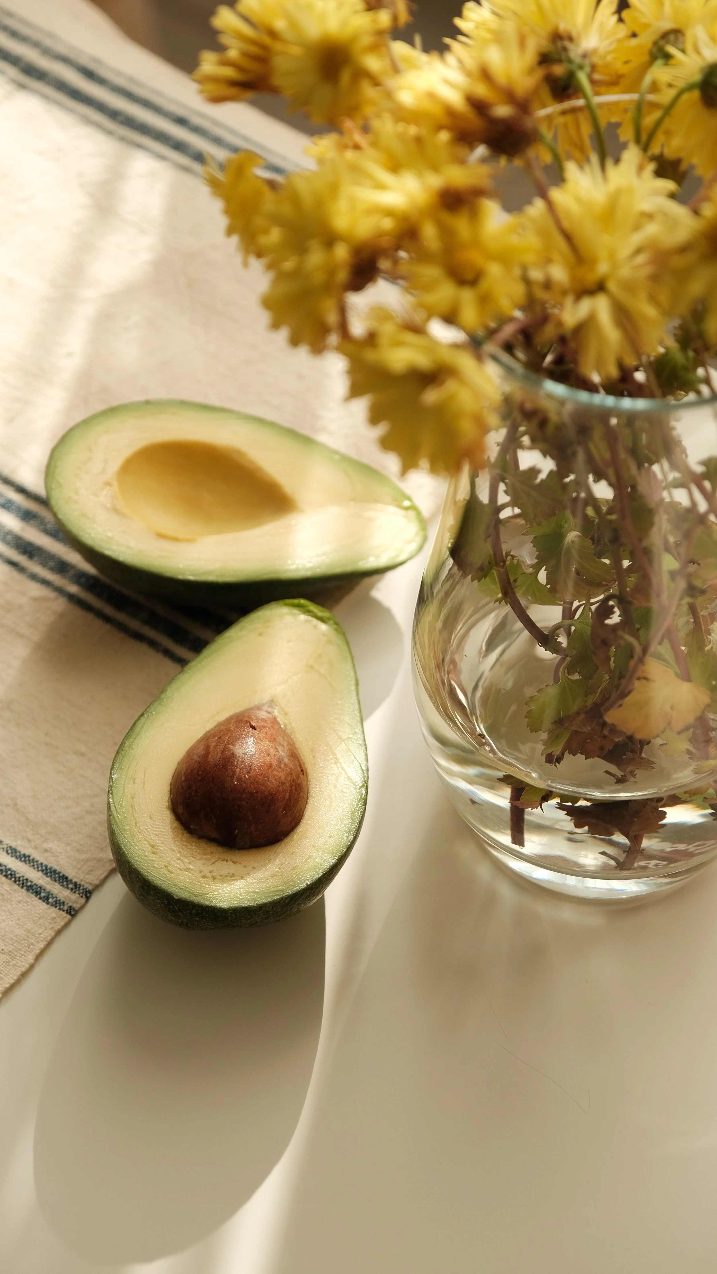 Fresh avocado on a sunlit table — whole-food, real nutrition