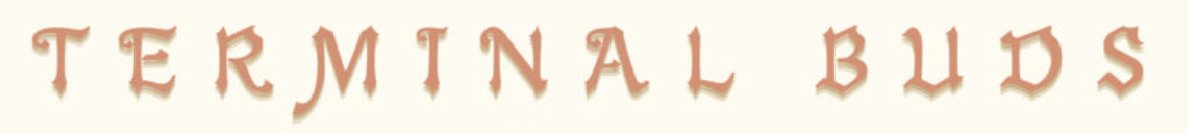 Terminal Buds Music