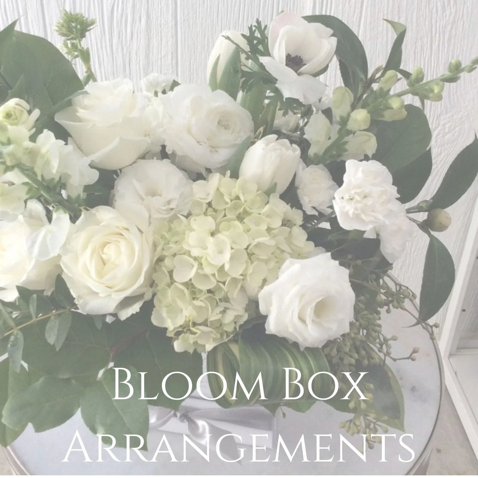Bloom Boxes