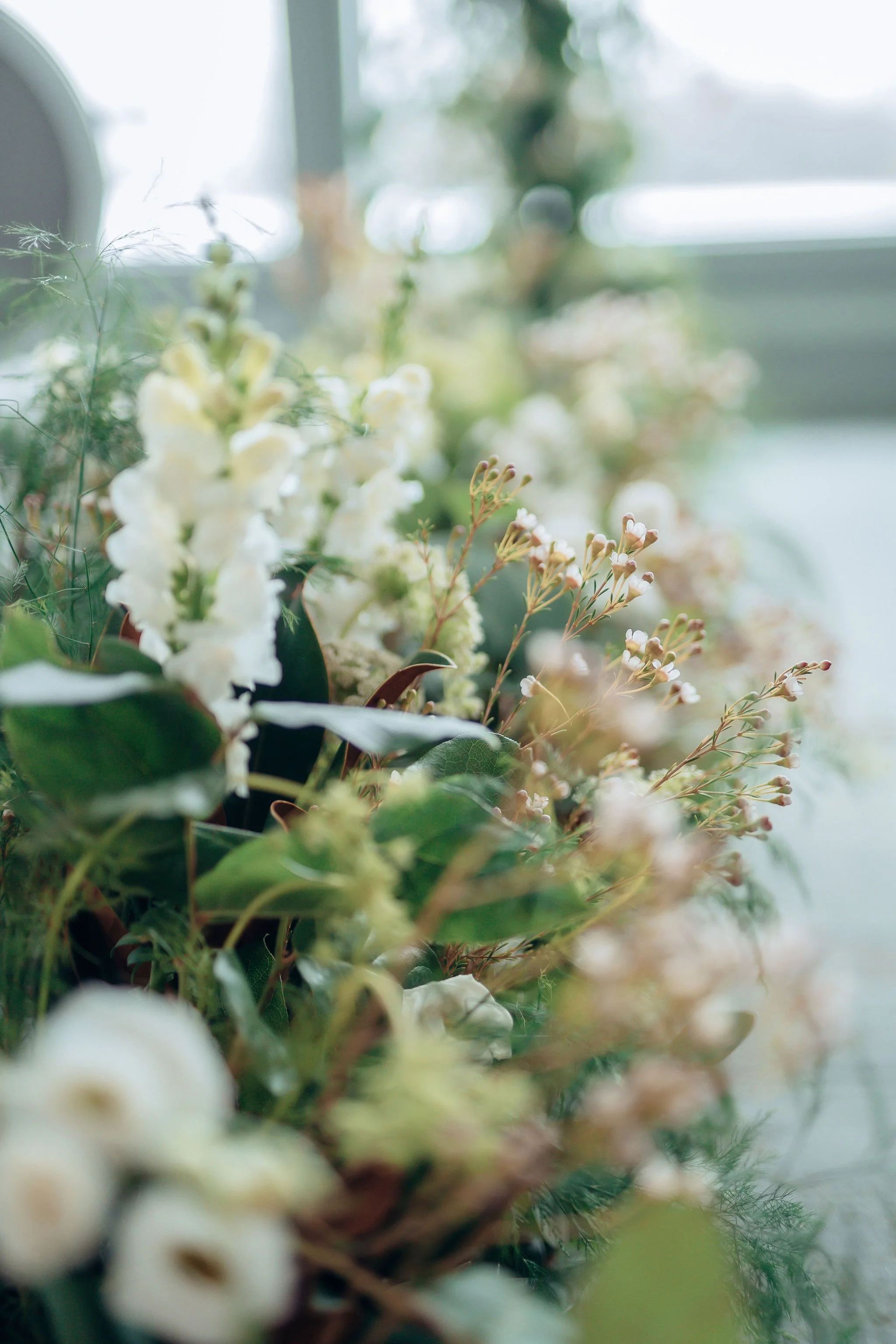 A blurred close-up of white and light-colored flowers with greenery in the background.