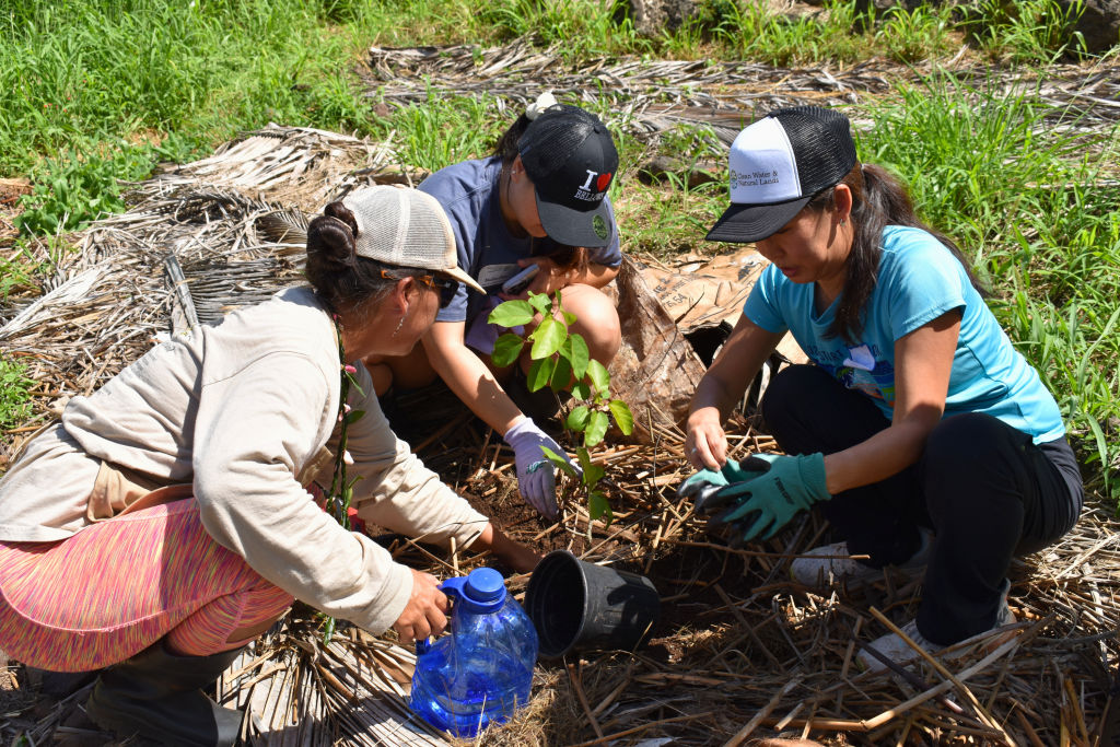 Volunteers from CCSR, DPR, OER and CWNL plant native vegetation during Mālama ʻĀina Day.