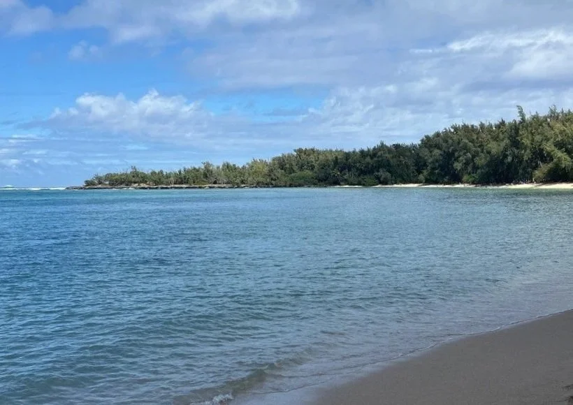 _Ko%CA%BBolauloa+-+Turtle+Bay+Makai+2025-2-19+19.jpg