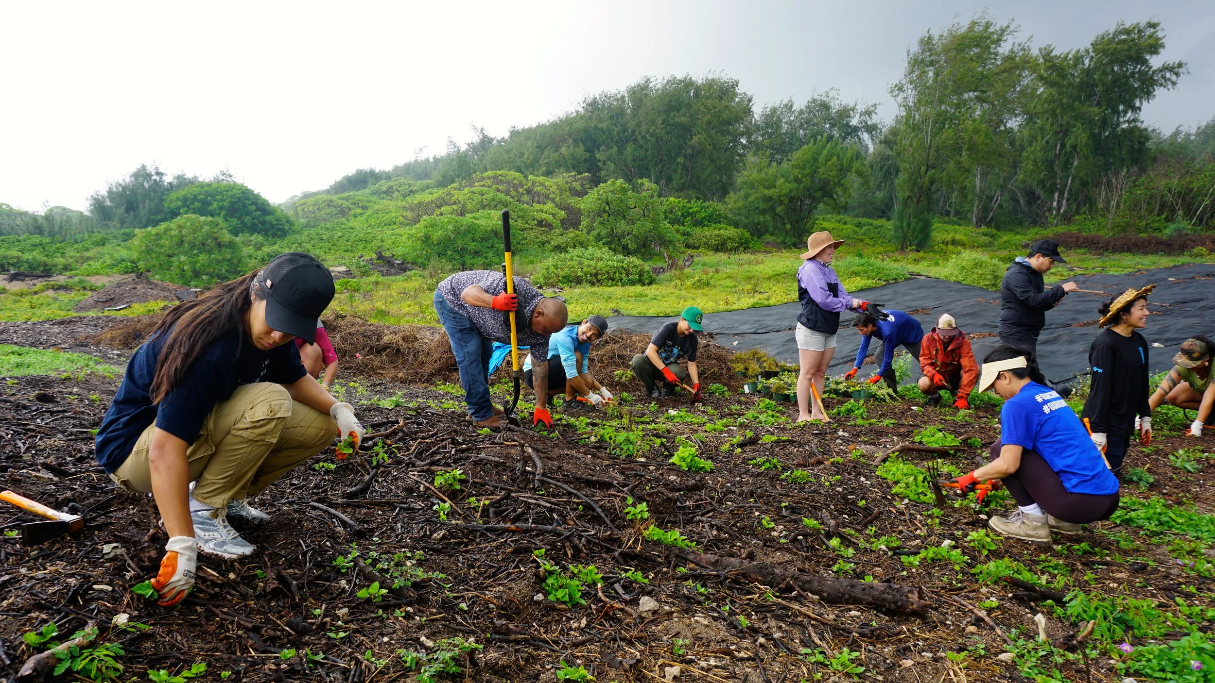 DLM Mālama ‘Āina Day at Kalaeokauna‘oa