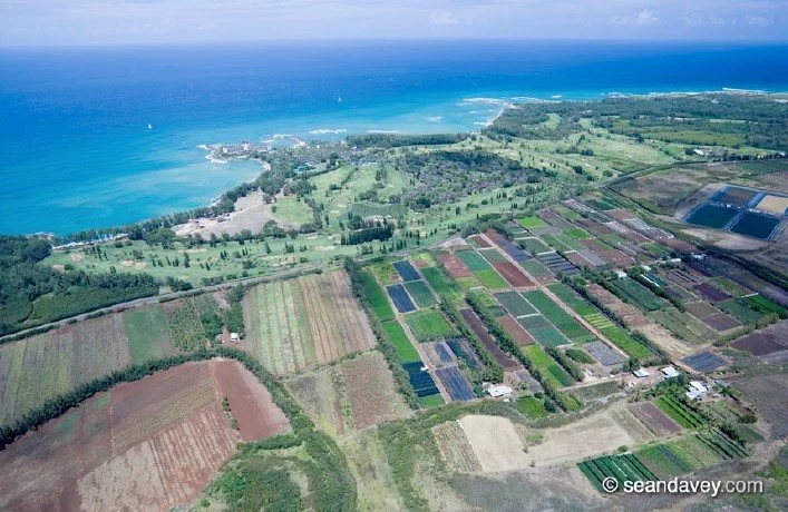 Turtle Bay Mauka