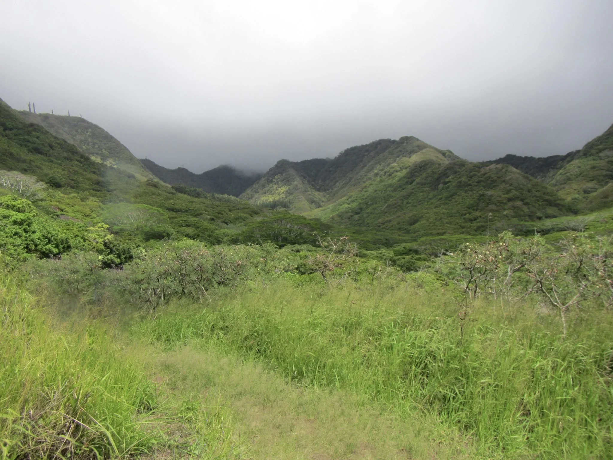 Wailupe Nature Preserve