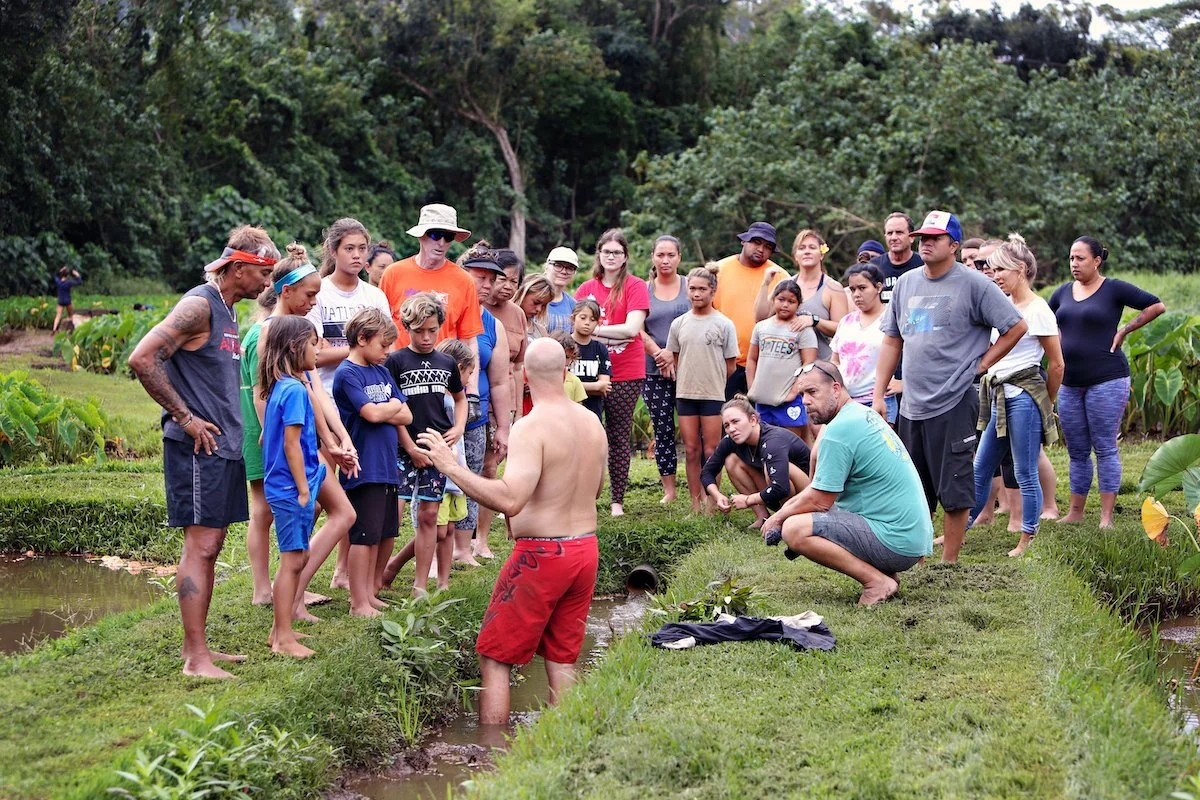 Hoʻokuaʻāina Community Aloha ʻĀina Day (9/12/26)