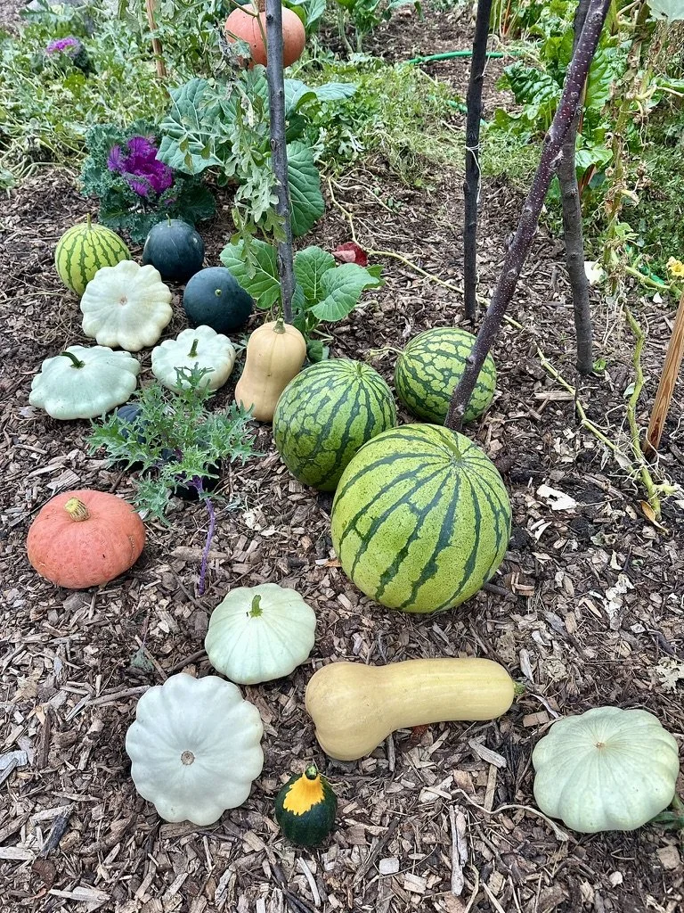 Edible & Productive Gardens