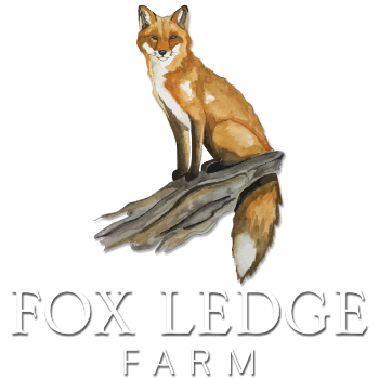 Fox Ledge Farm • Premier Equine Facility in East Haddam, CT