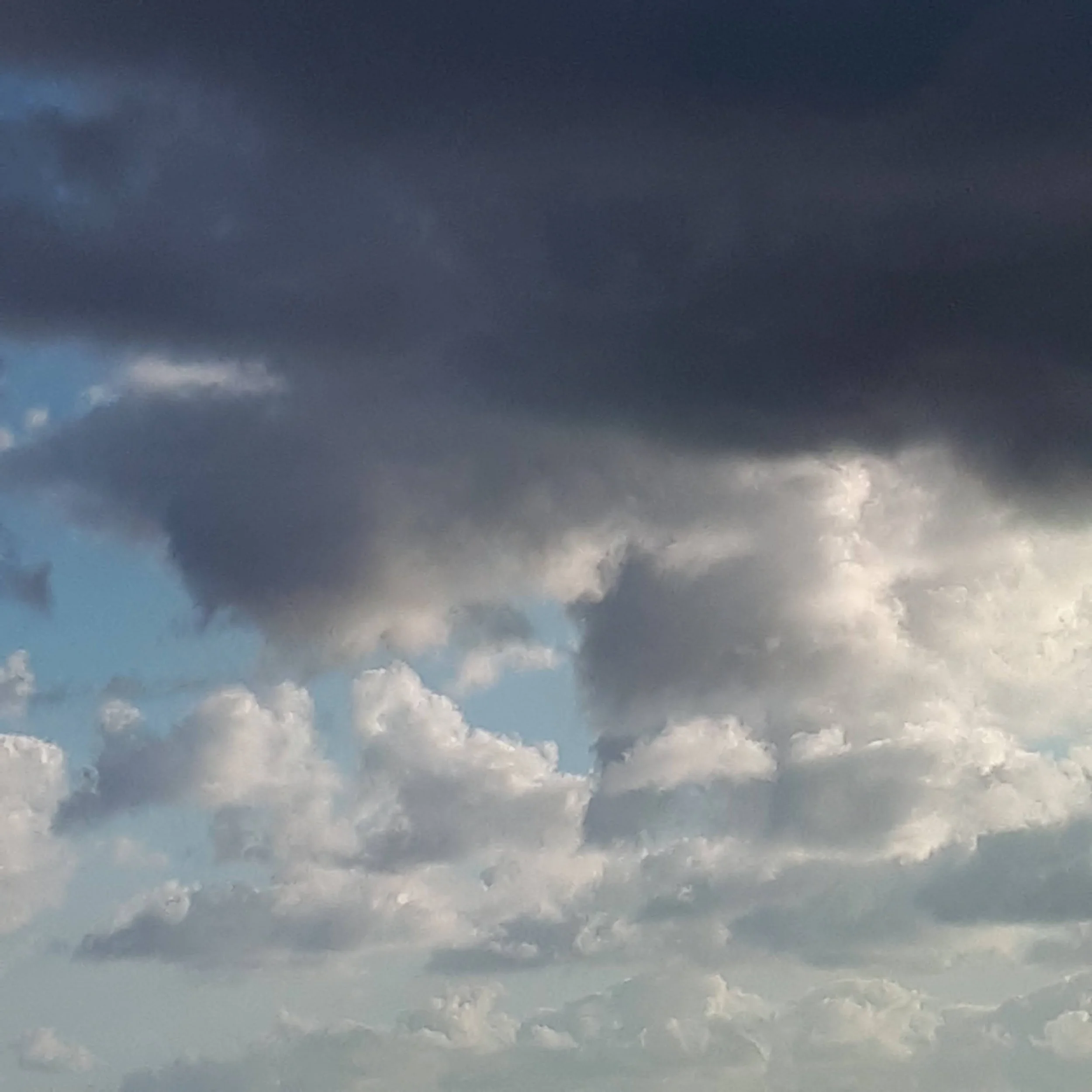 20200718_063805.jpg