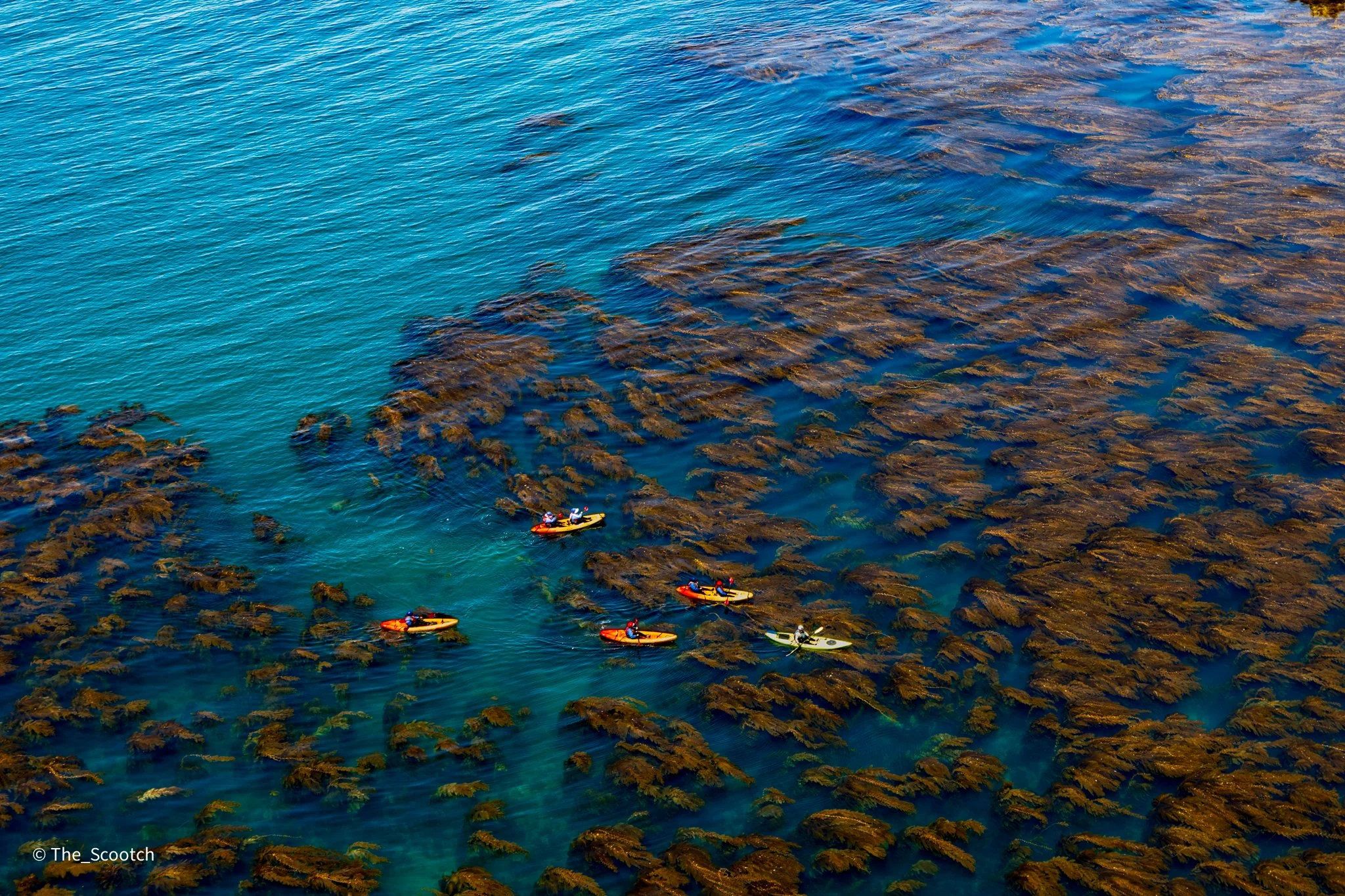 Kayaks Above the Kelp Forest, Channel Islands National Park