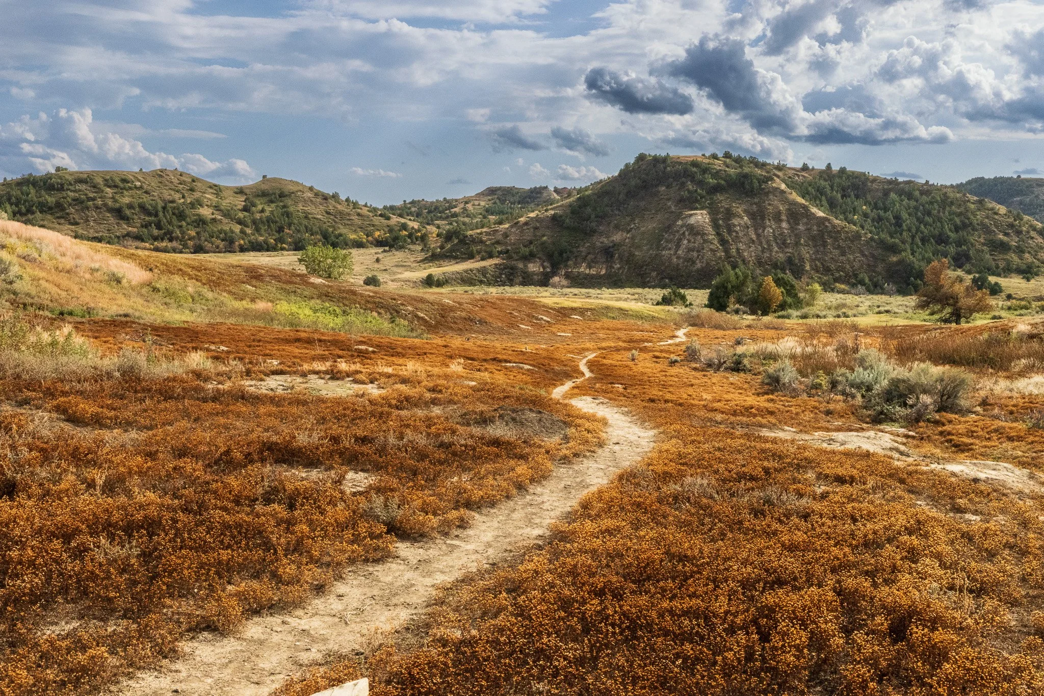 Theodore Roosevelt National Park, South Unit