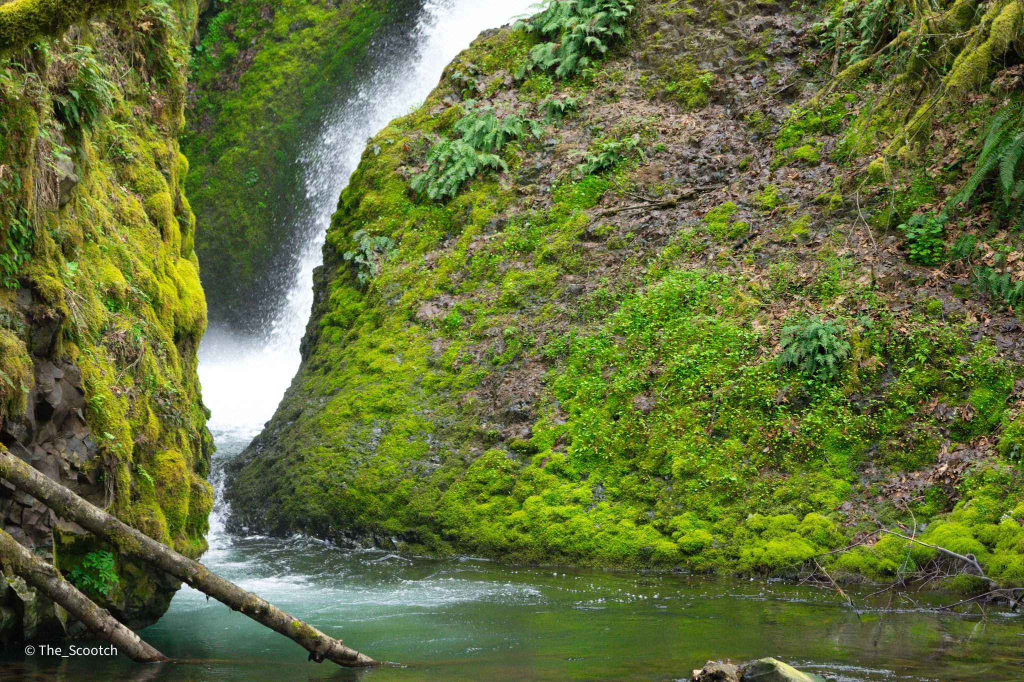 Columbia River Gorge - 1