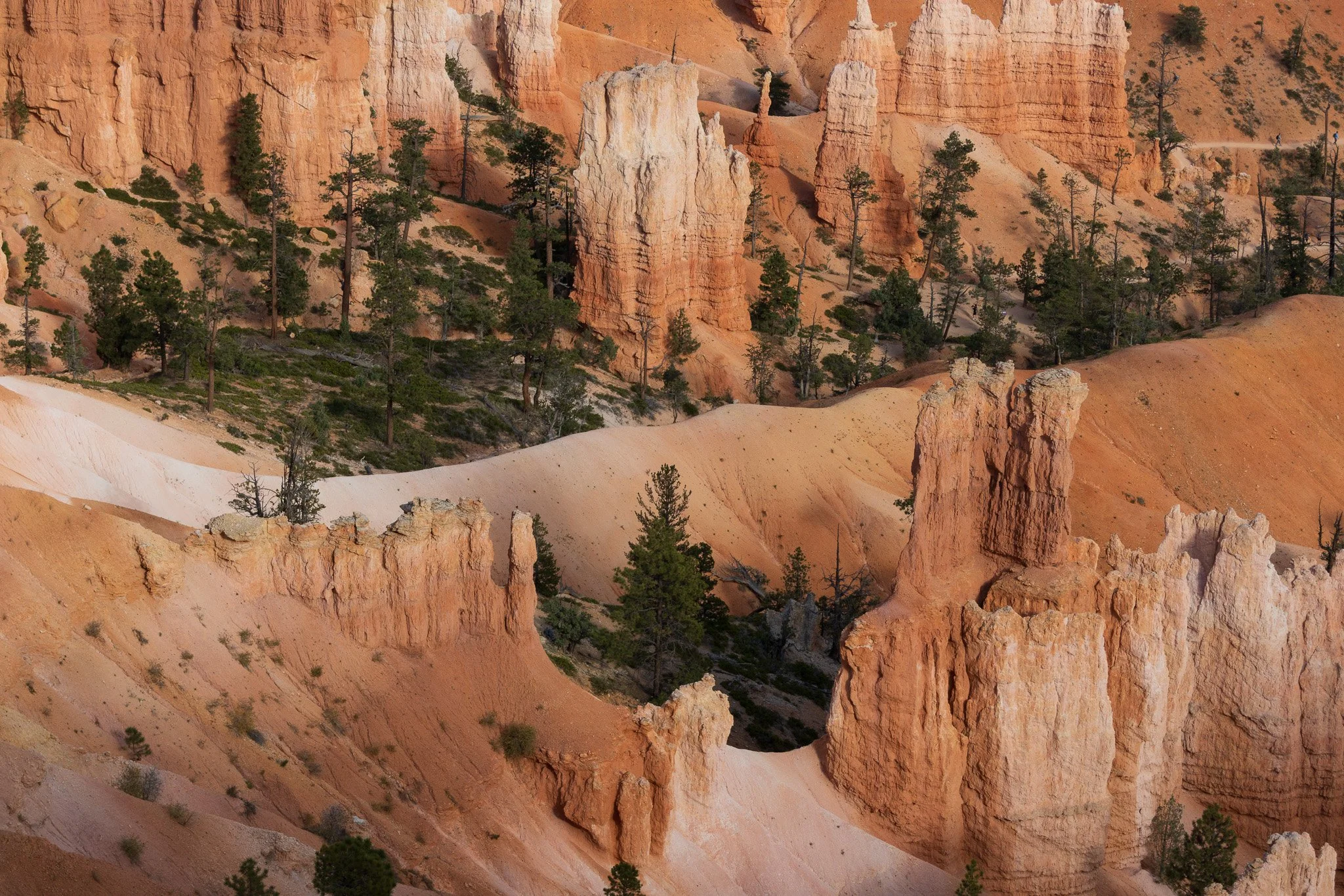Hoodoos at Bryce Canyon National Park