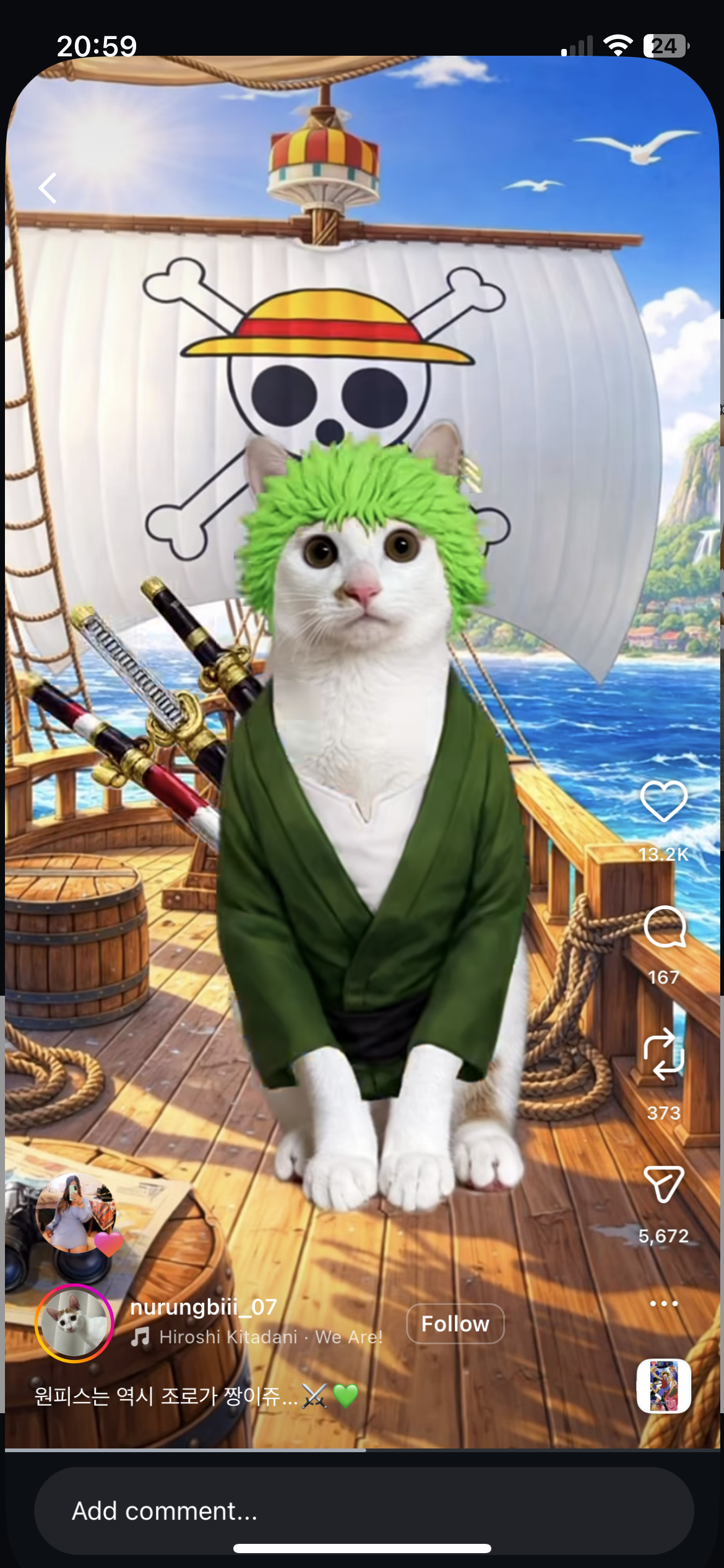 🏴‍☠️🌊 The kittens and the Grand Meow Line 🌊🏴‍☠️
